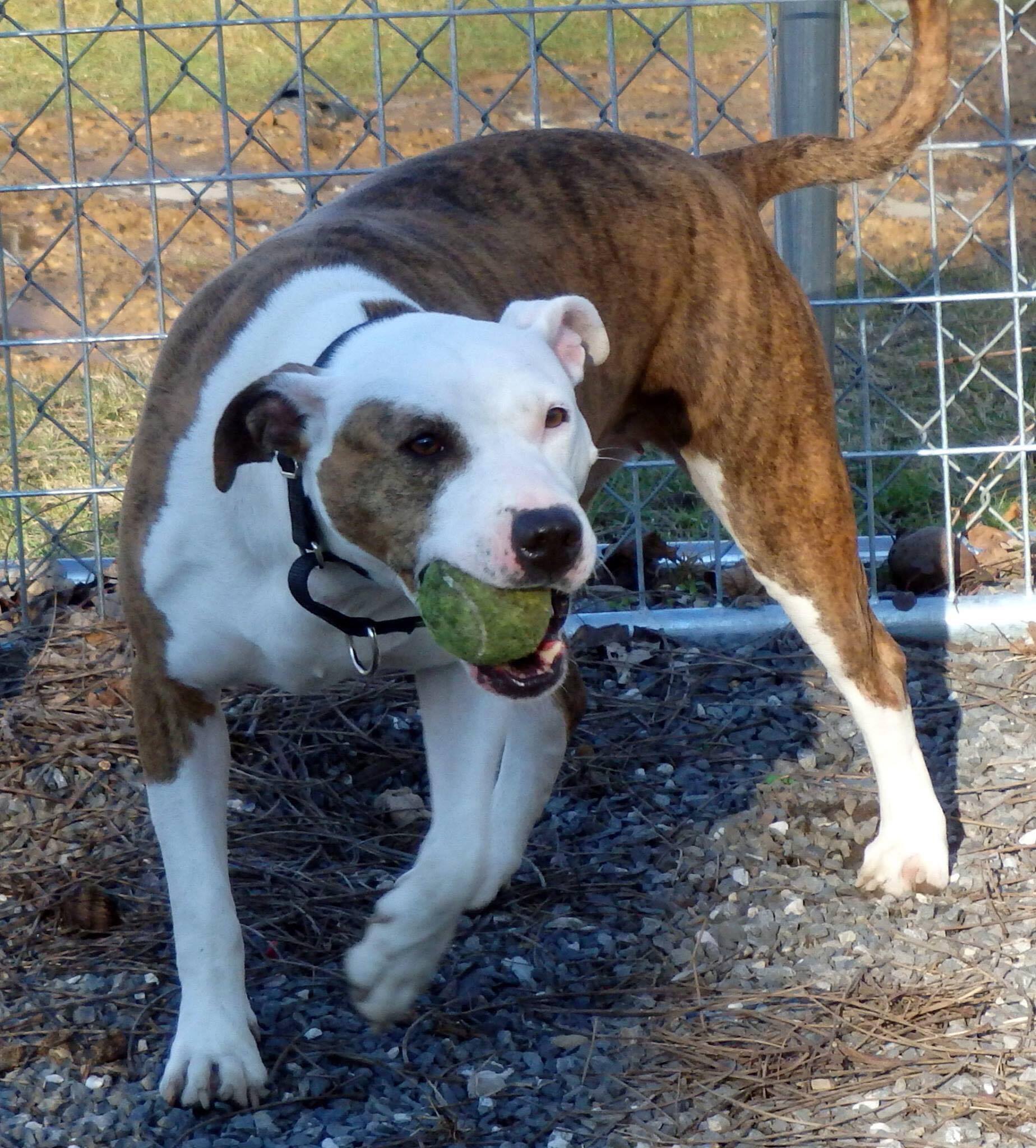 13709715_10210313228256775_970887931_o