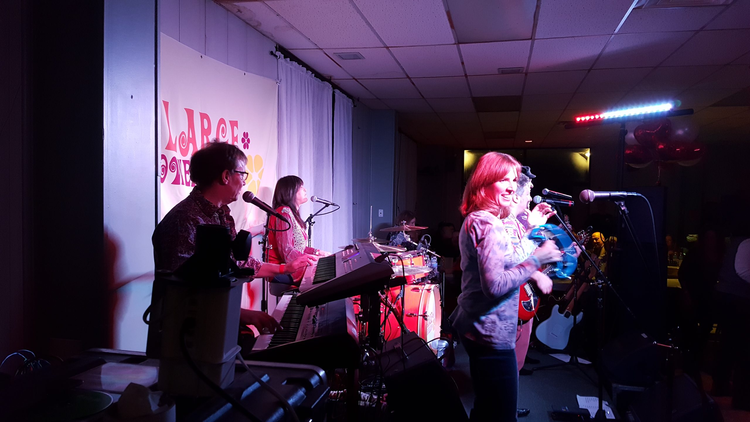 The Large Flowerheads performed three sets at the fundraiser.