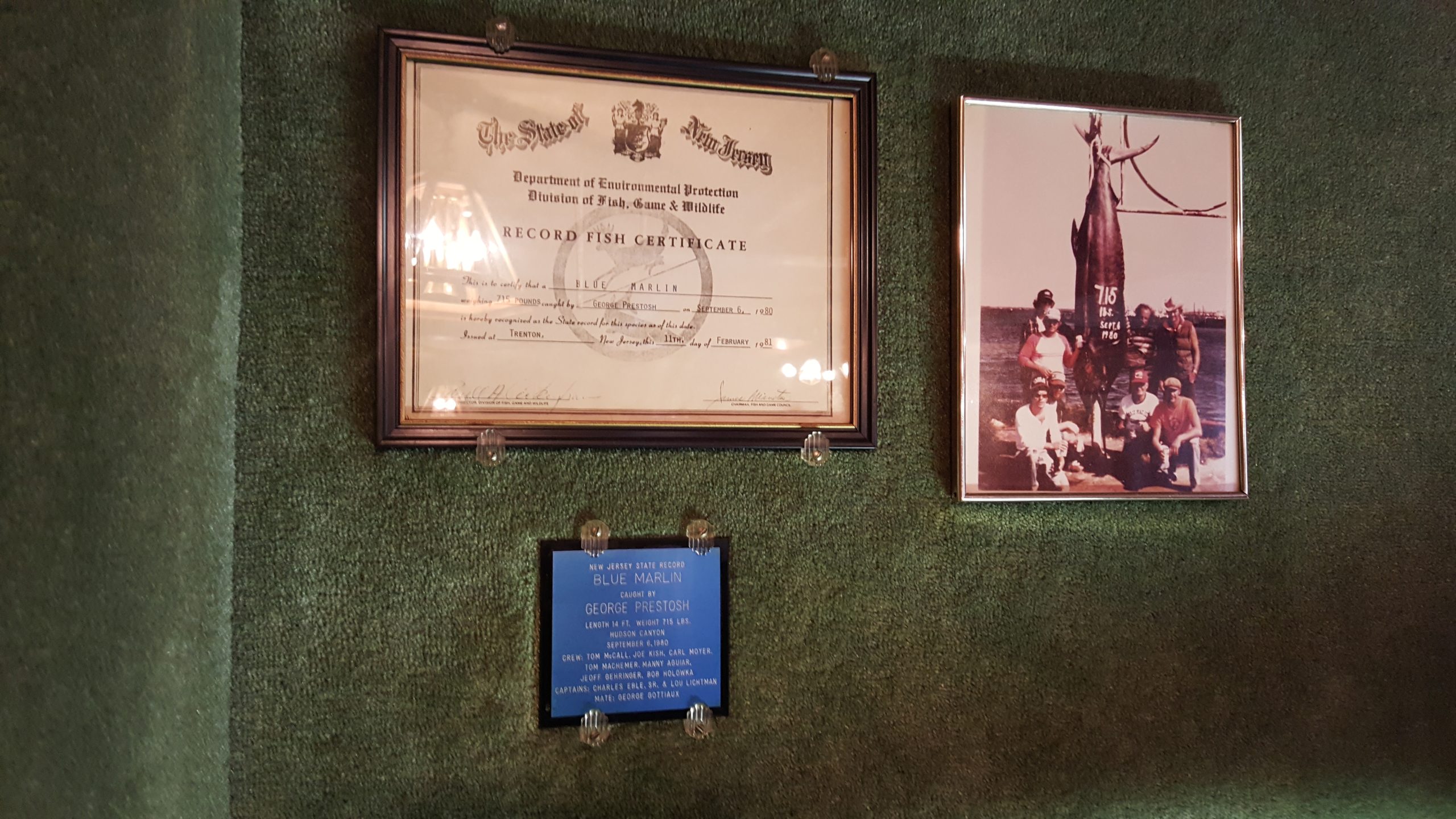 Documentation about the blue marlin inside Crossroads Hotel in Hellertown. "What will happen to the fish?" was a question heard throughout the restaurant as visitors pondered its fate.