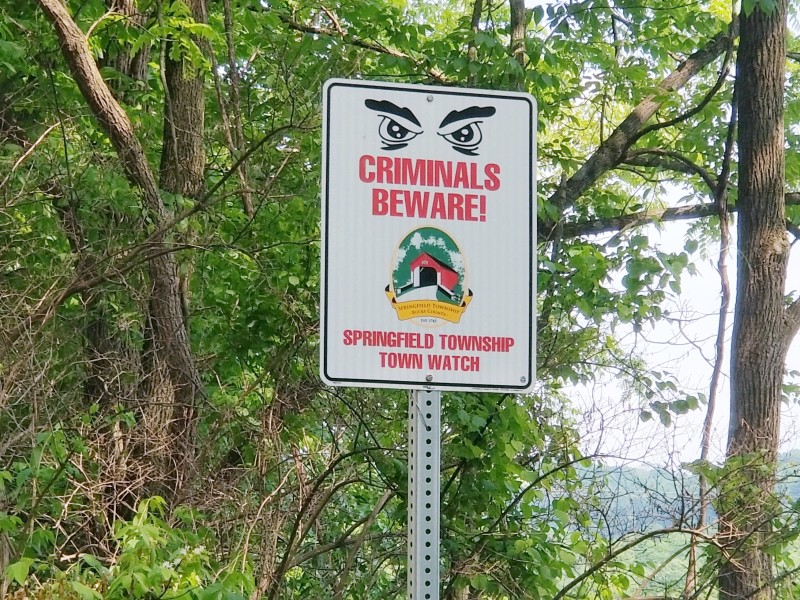 Springfield Township burglaries