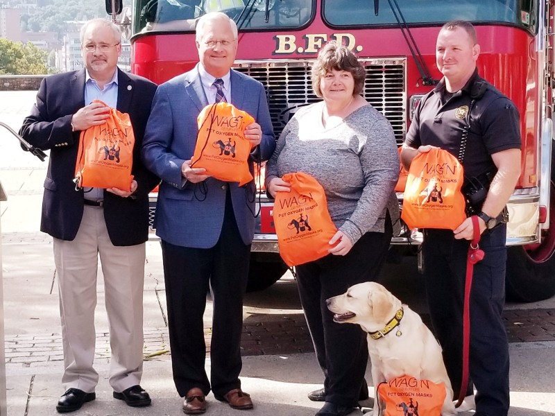 Pet Oxygen Mask Kits