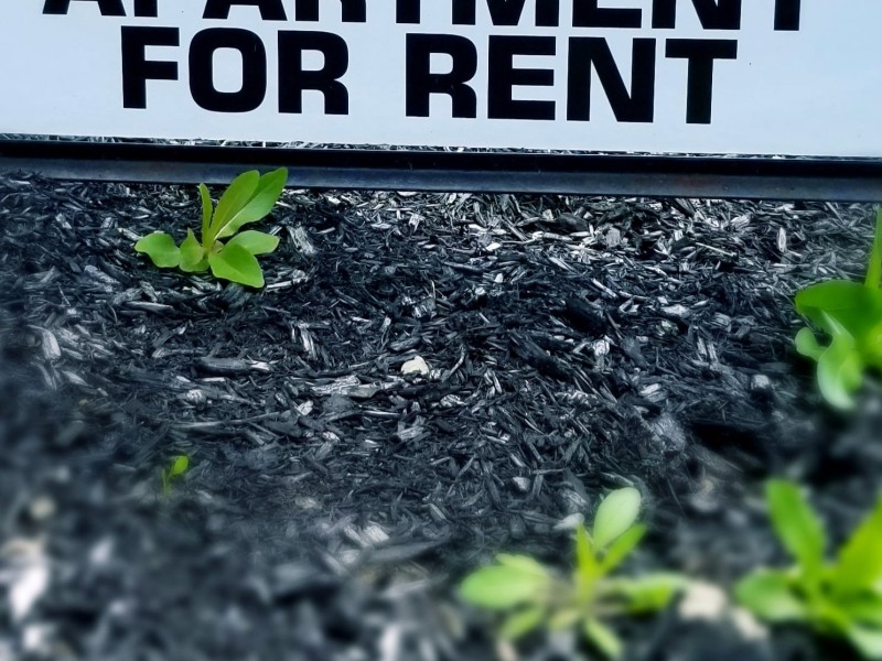 Eviction Pandemic Pennsylvania