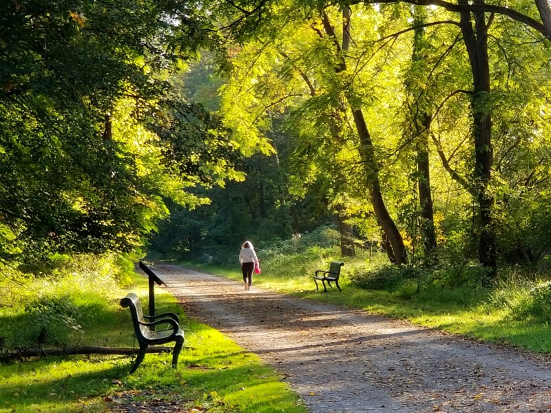 Lower Saucon Grant Walk Pedestrian