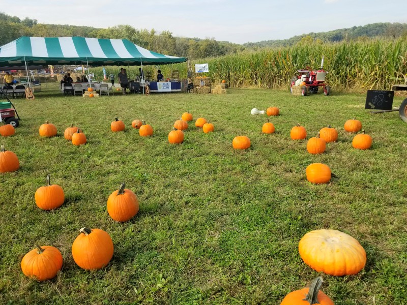 Olde Stone Farm Harvest Days