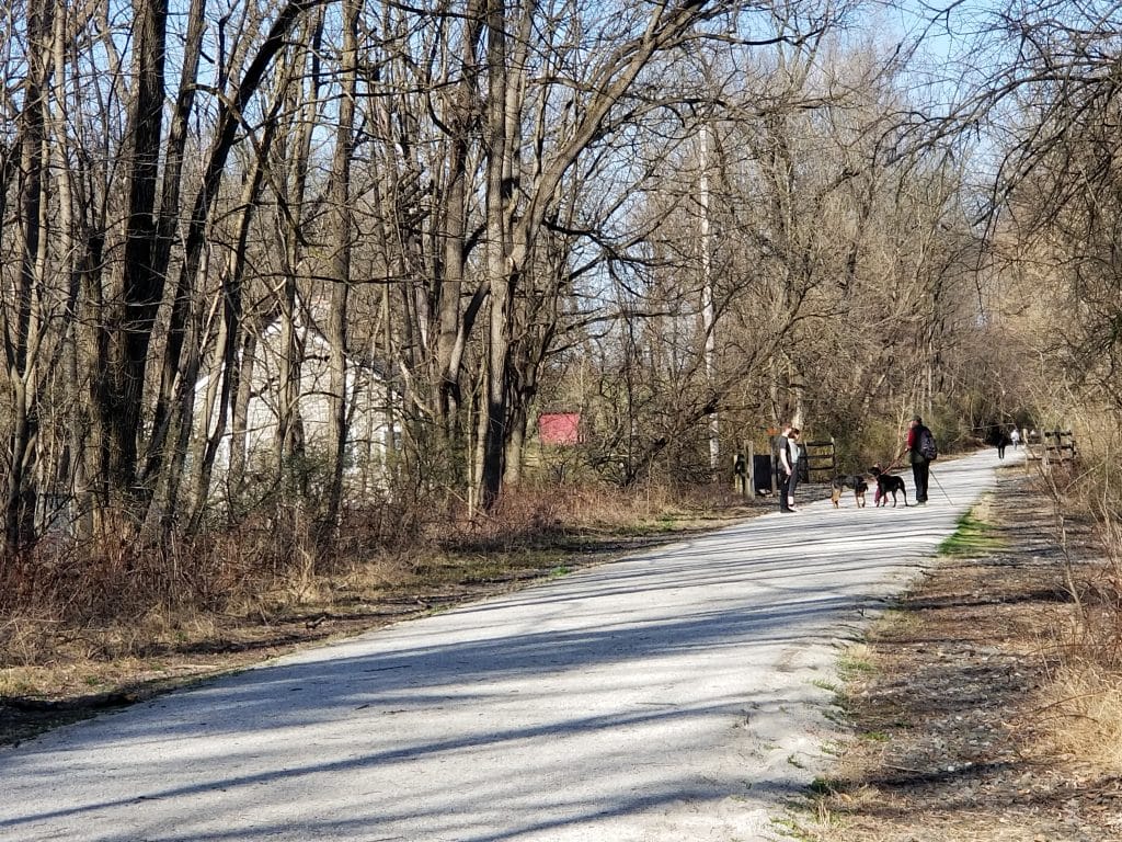 Spring Rail Trail