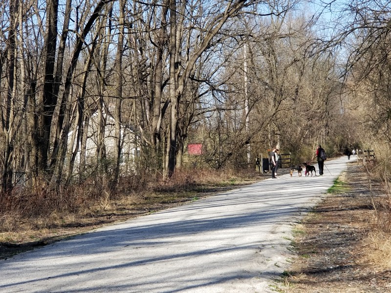 Spring Rail Trail