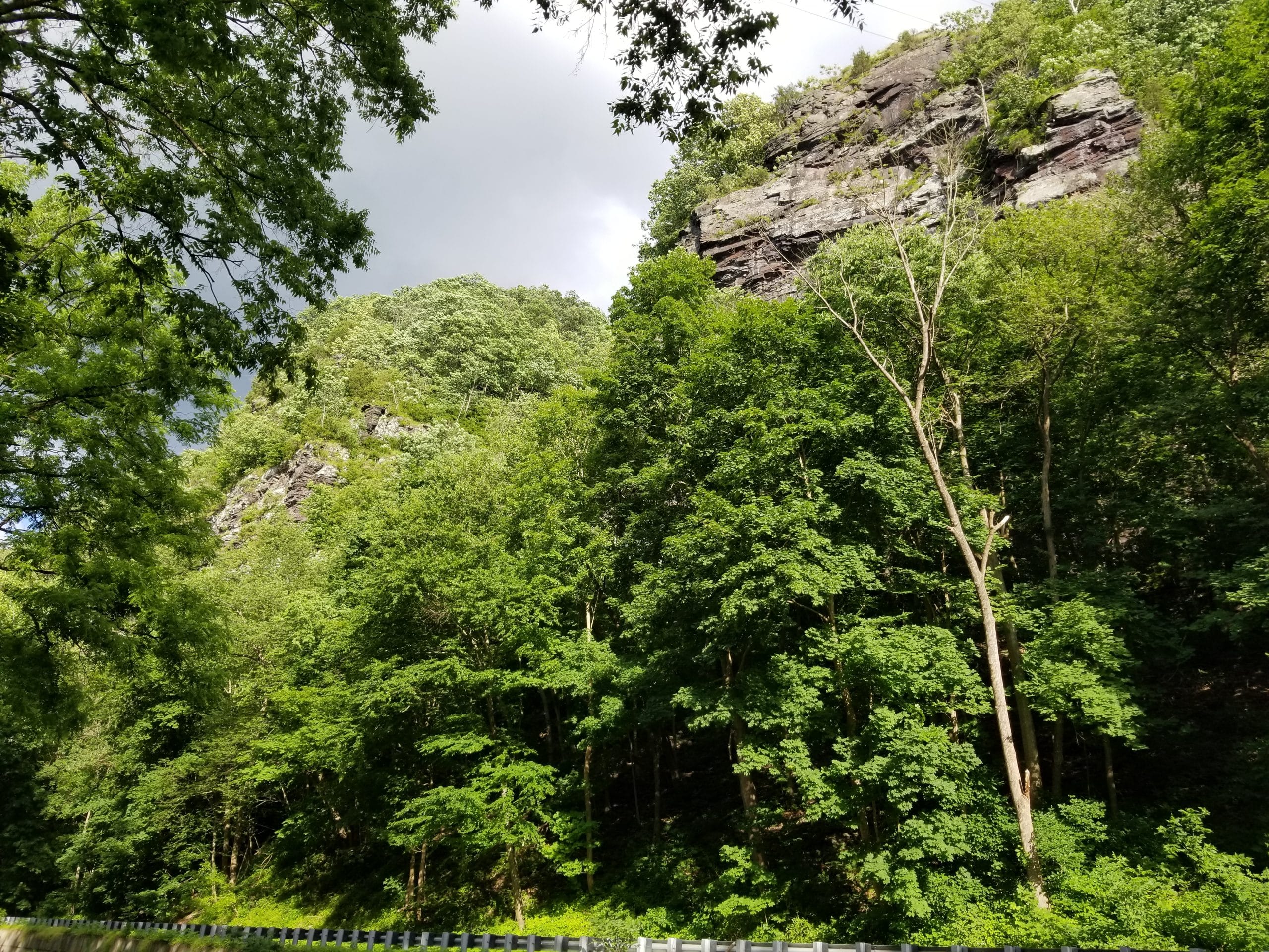 Nockamixon Cliffs Fun Day Trips