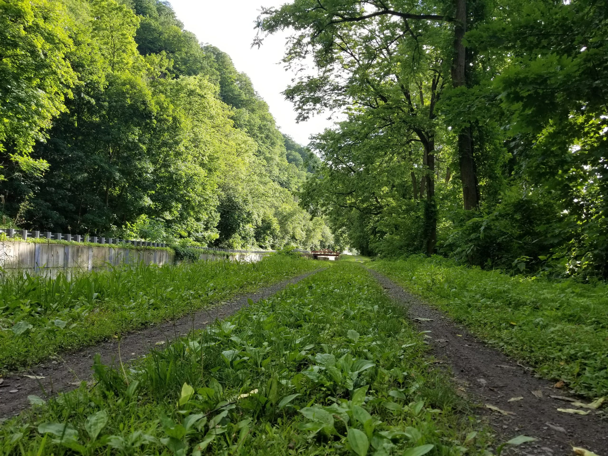 Nockamixon Cliffs Fun Day Trips Canal