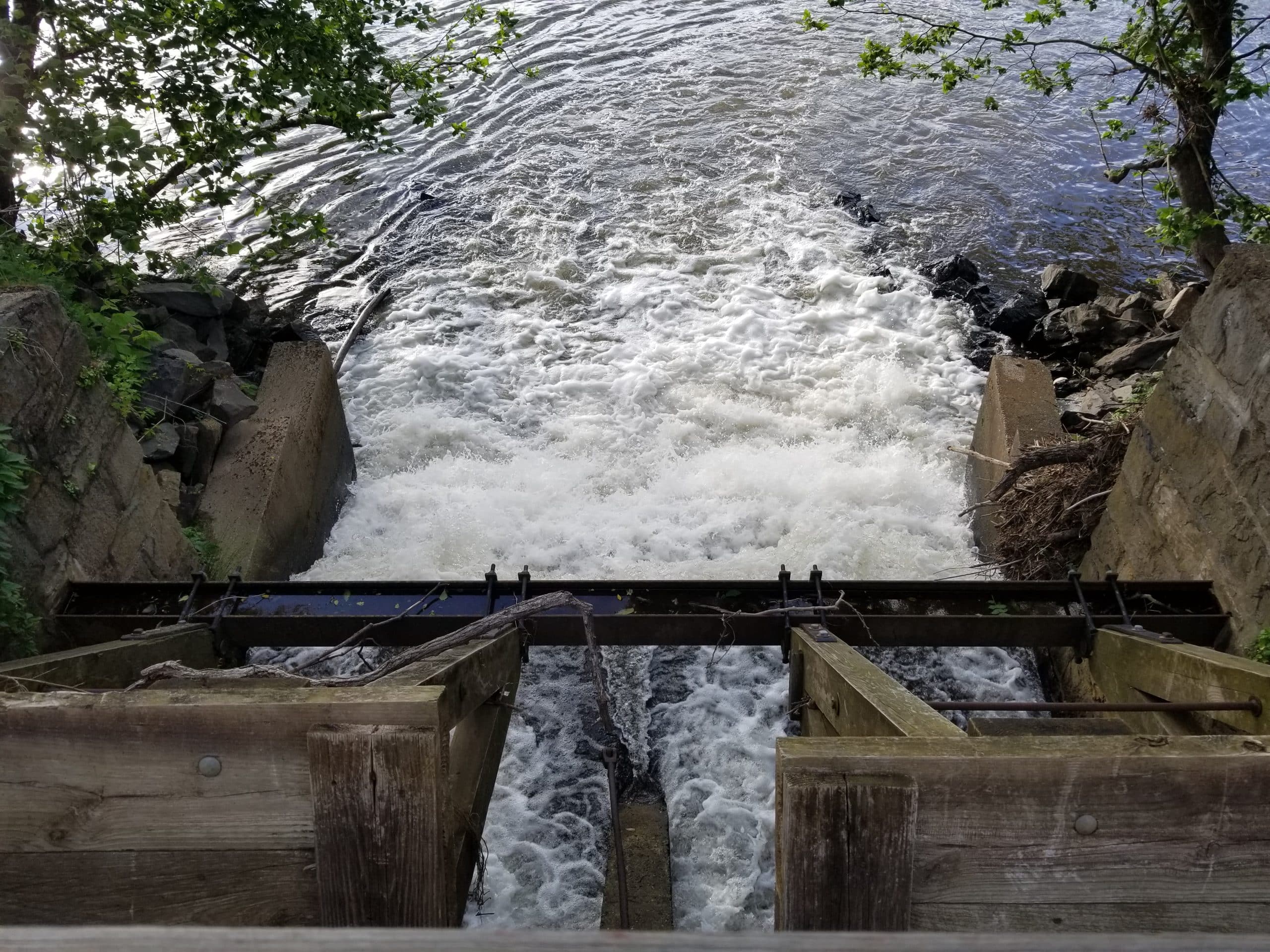 Nockamixon Cliffs Fun Day Trips