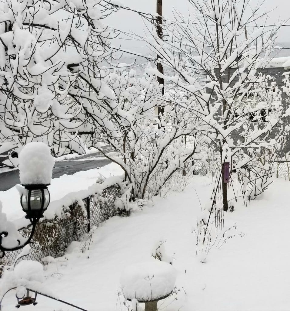 Storm Dumps Over a Foot of Snow on Parts of Area – Saucon Source