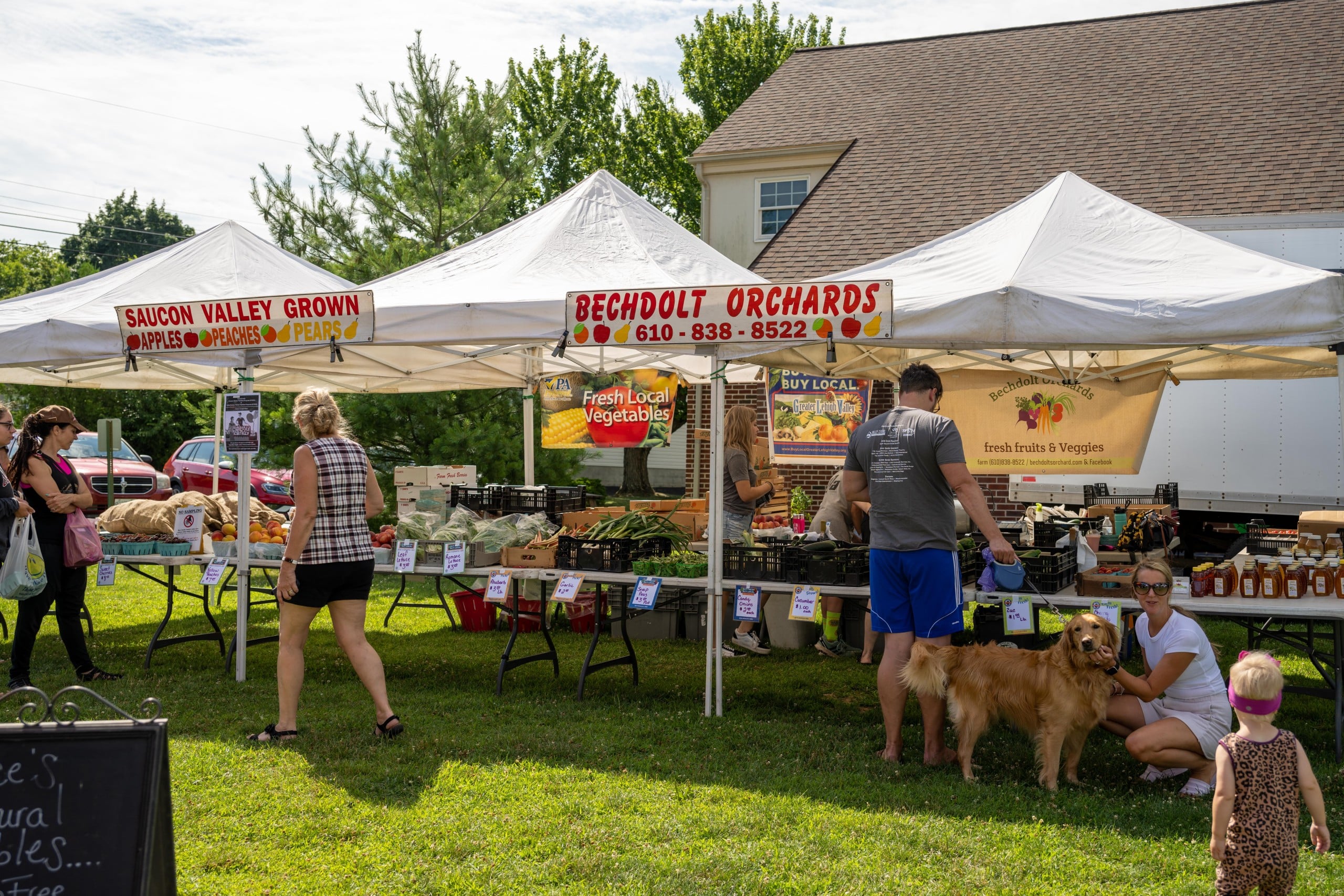 Saucon Valley Farmers Market