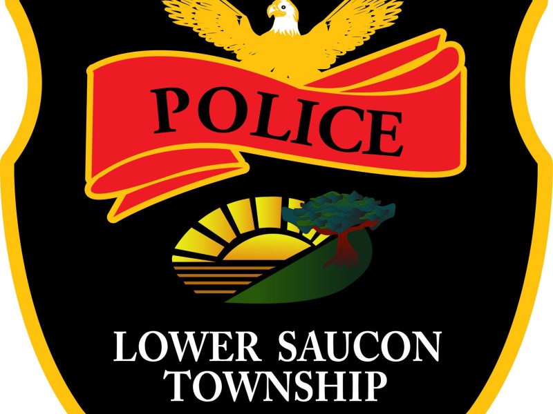 lspd police chief DUI