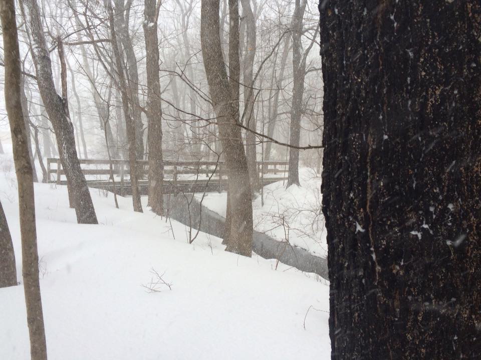 Hellertown, near W. Walnut Street