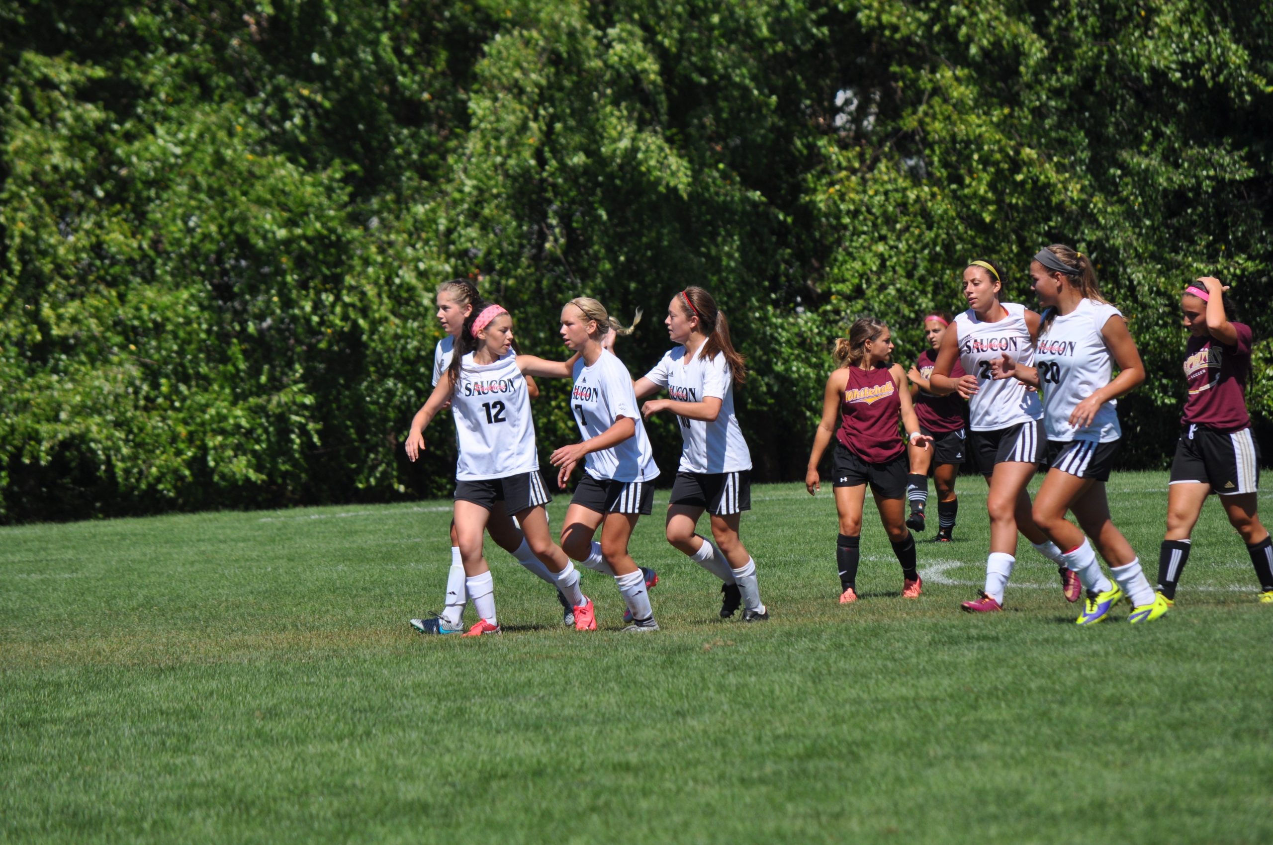 A pack of Panthers celebrate after Annika Sundlof's second goal.