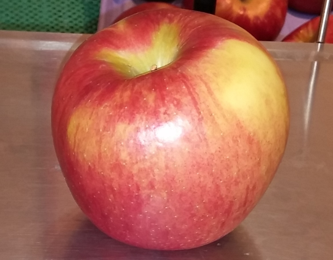 Apple for the Teacher