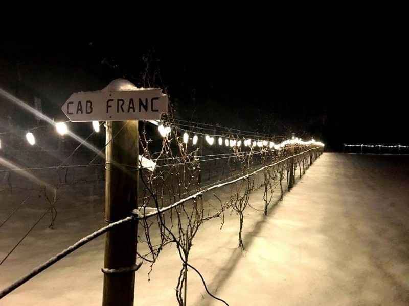 Bishop Estate vines wine