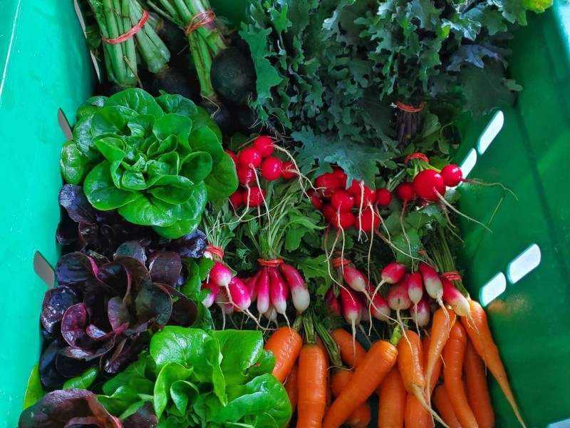 Blackbird Farms Kegan Hilaire