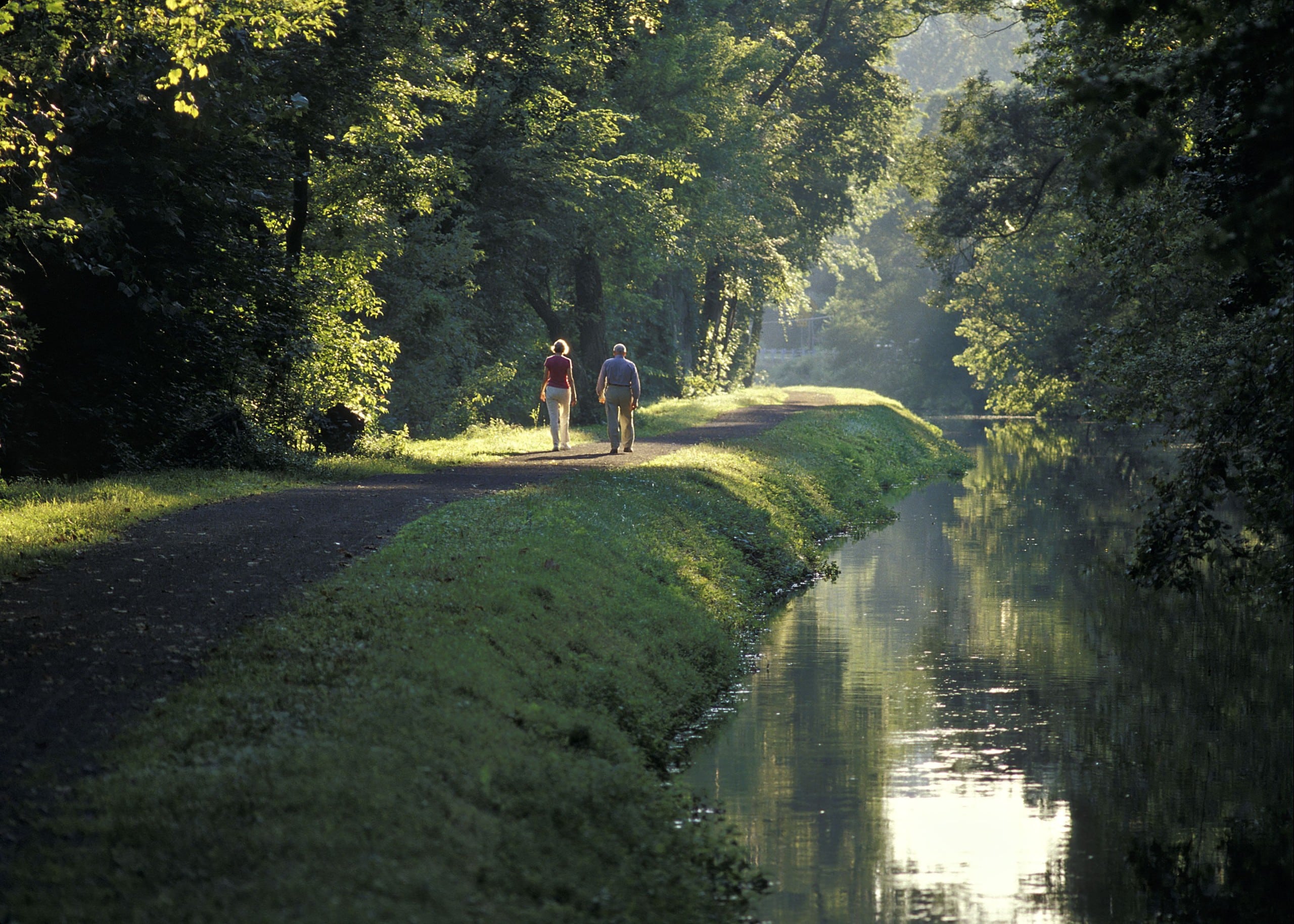 Trail