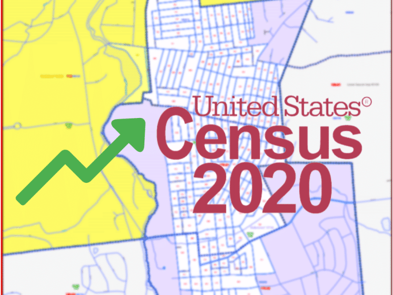 Census Hellertown Lower Saucon
