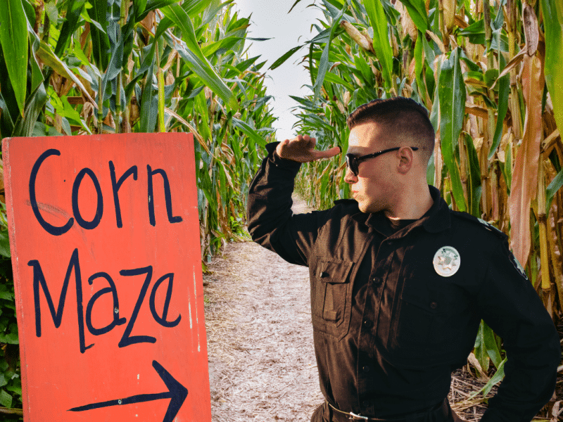 Corn Maze Theft Cops