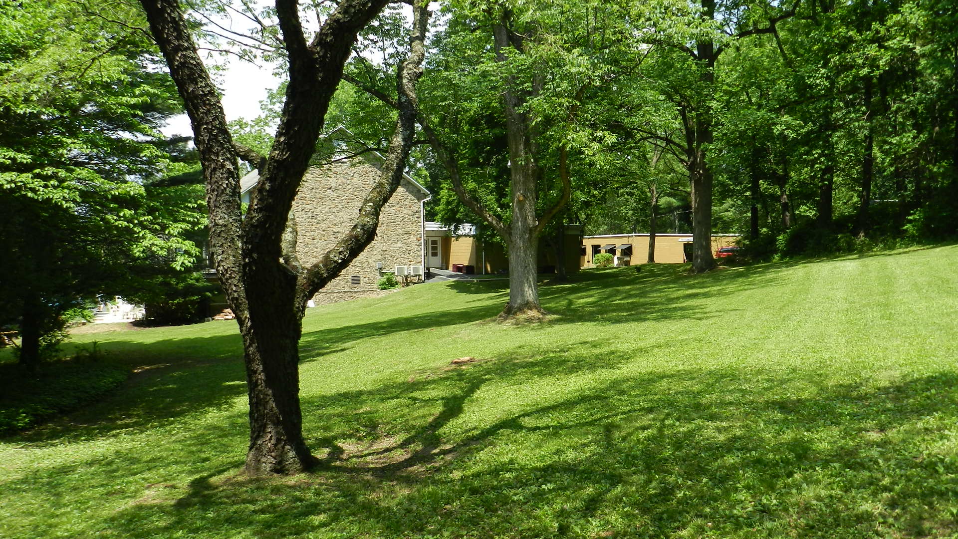 Beethoven Waldheim Club