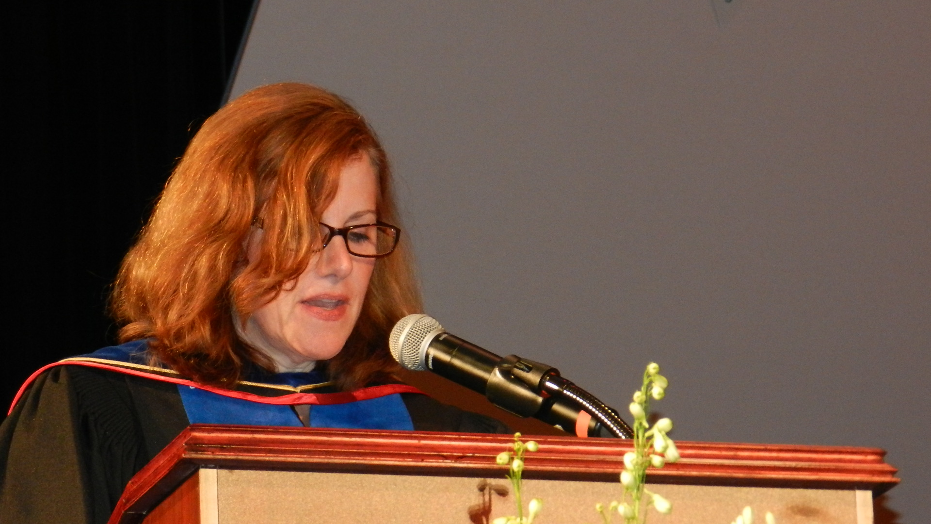 Saucon Valley School District Supt. Dr. Monica McHale-Small