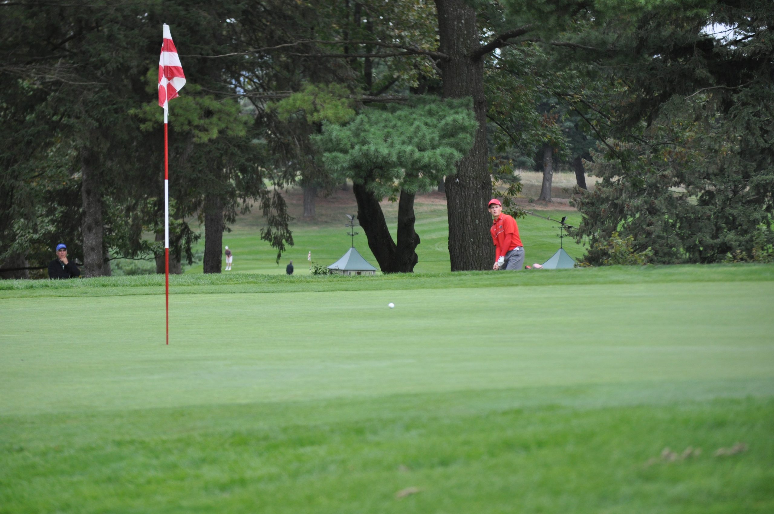 Saucon Valley senior Brendan Gertz looks on as his ball funnels toward the hole.