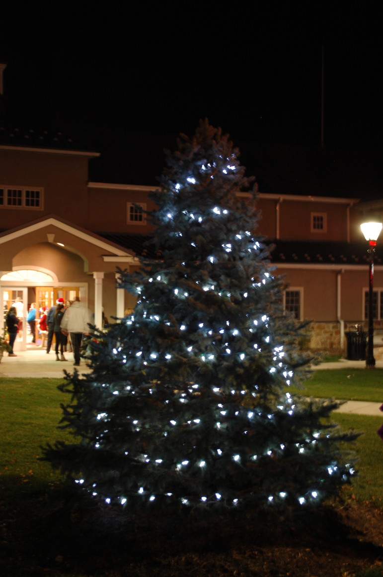 The Hellertown borough Christmas tree shines brightly after its lights were turned on during Light-Up Night Friday.