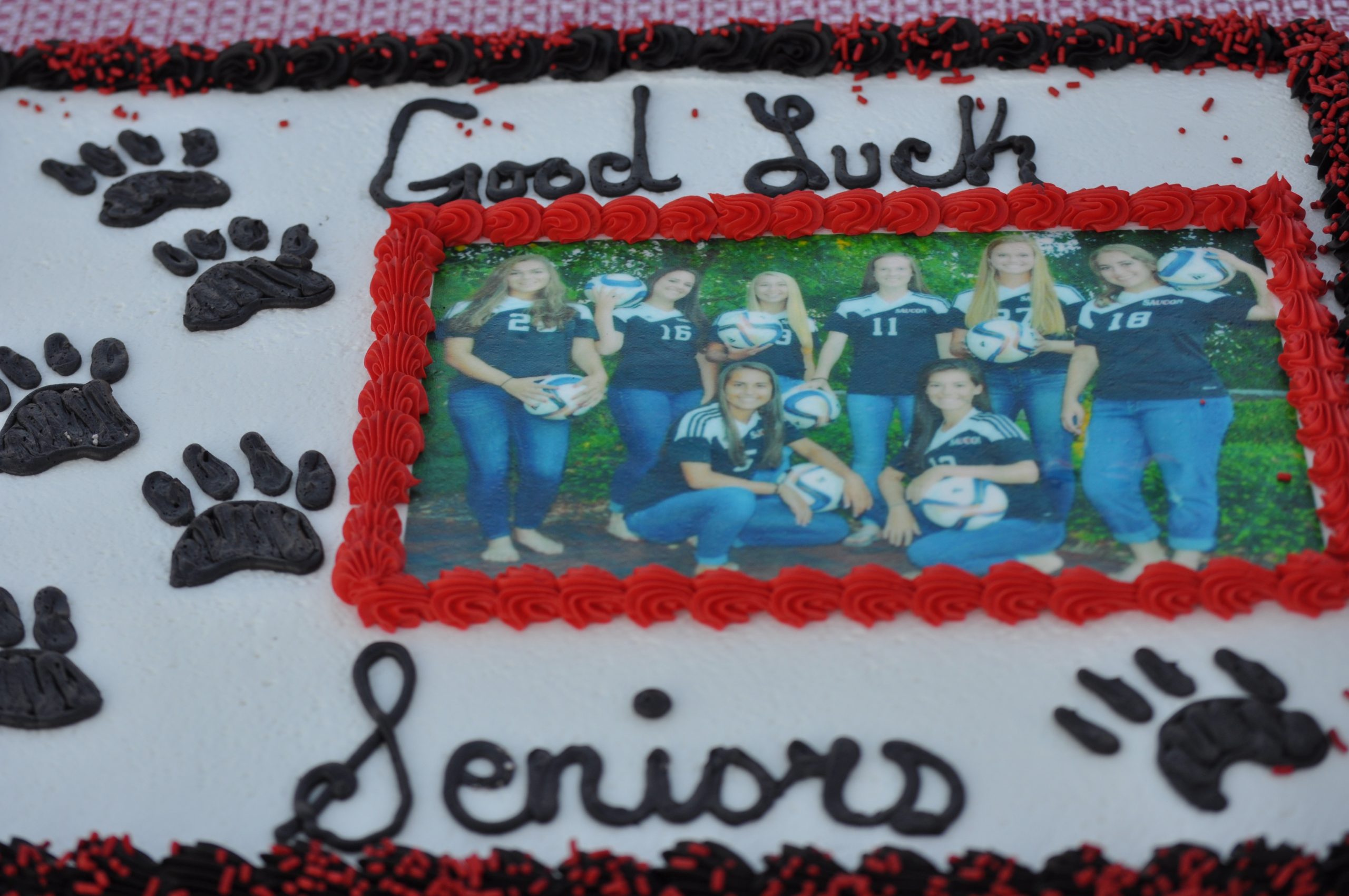 Saucon senior soccer celebration!
