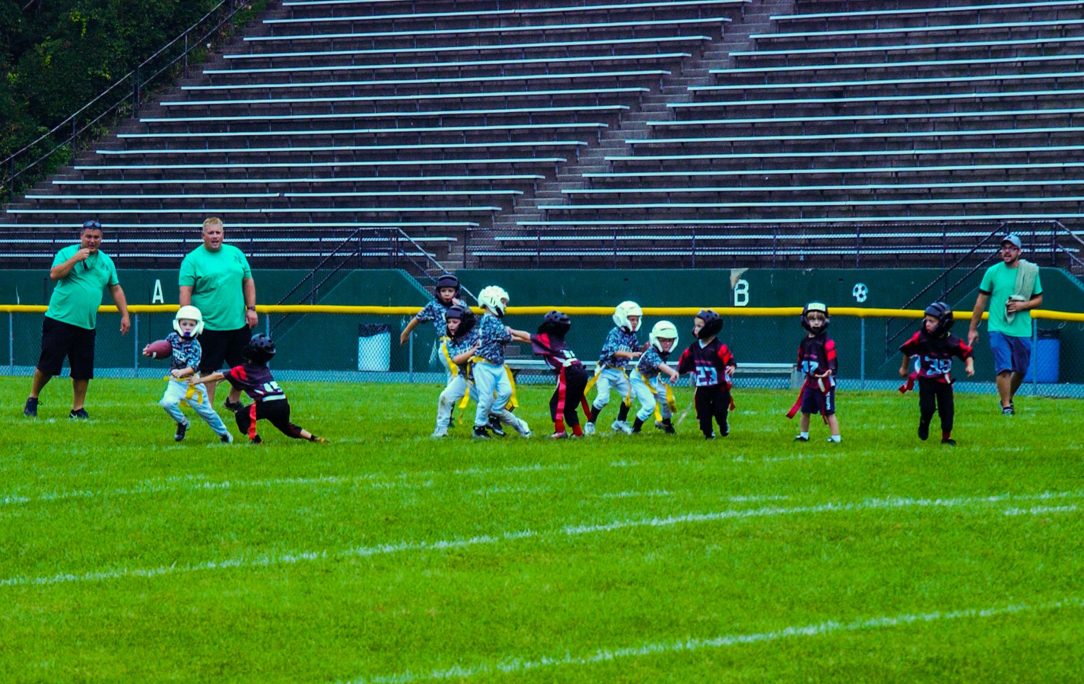 Little Panther Rundown