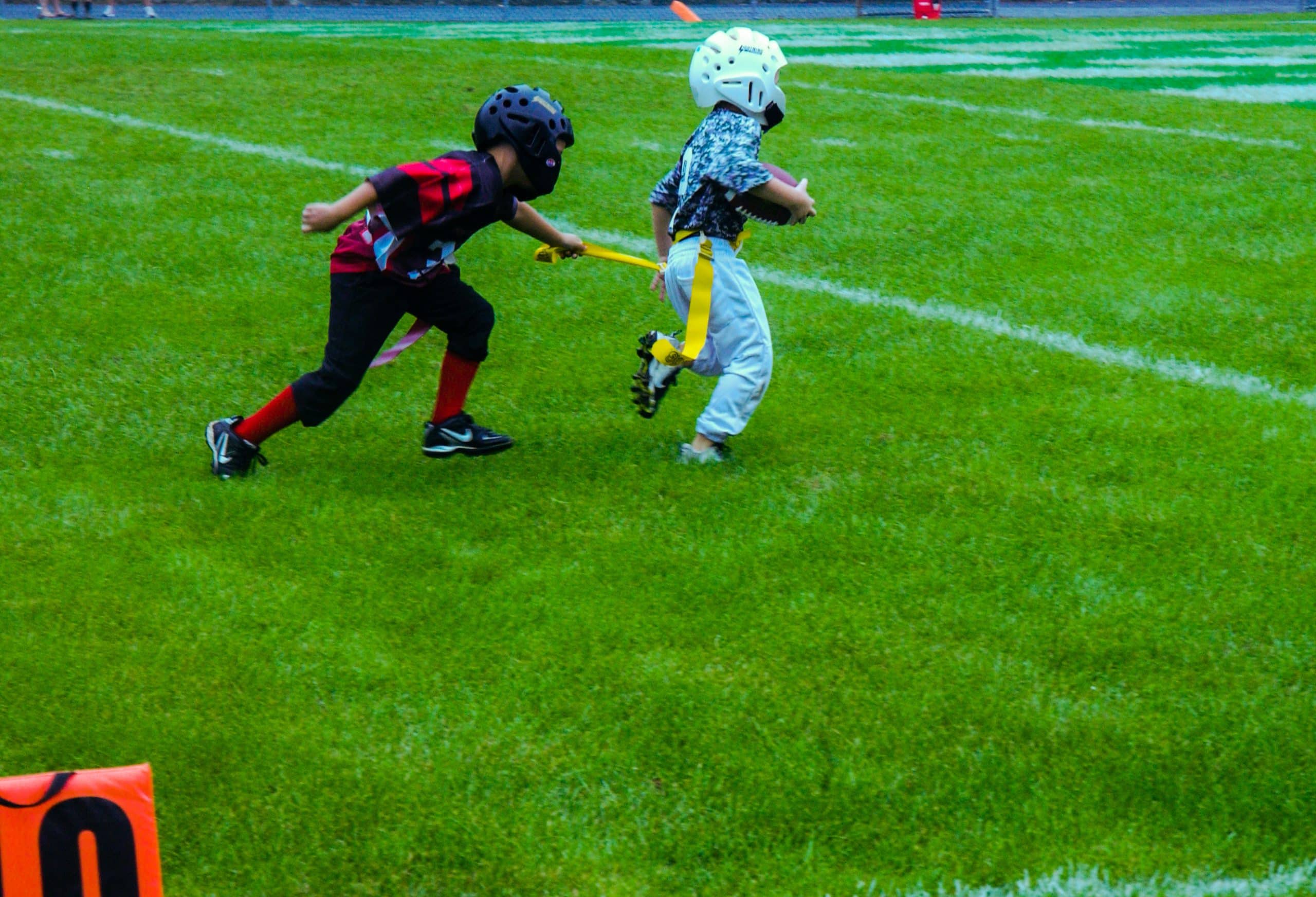 Little Panther Rundown