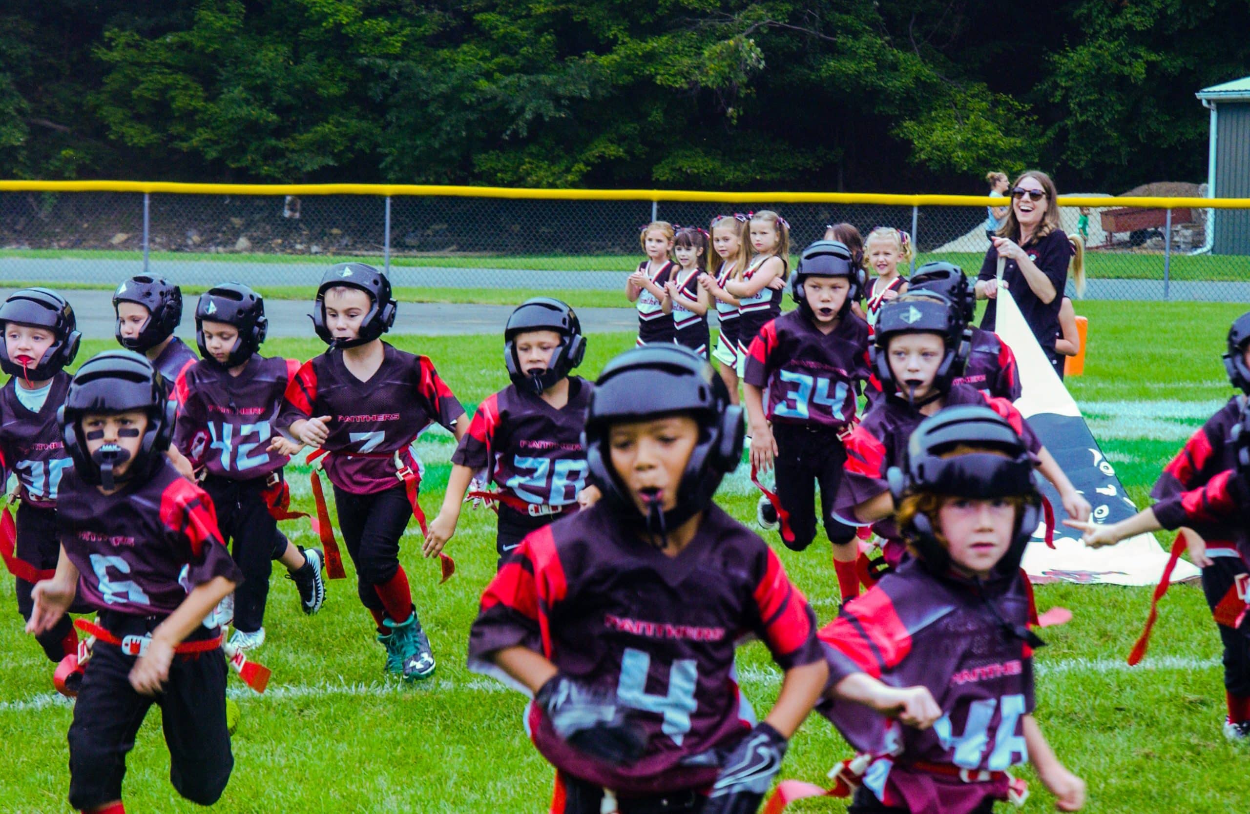 Little Panther Rundown