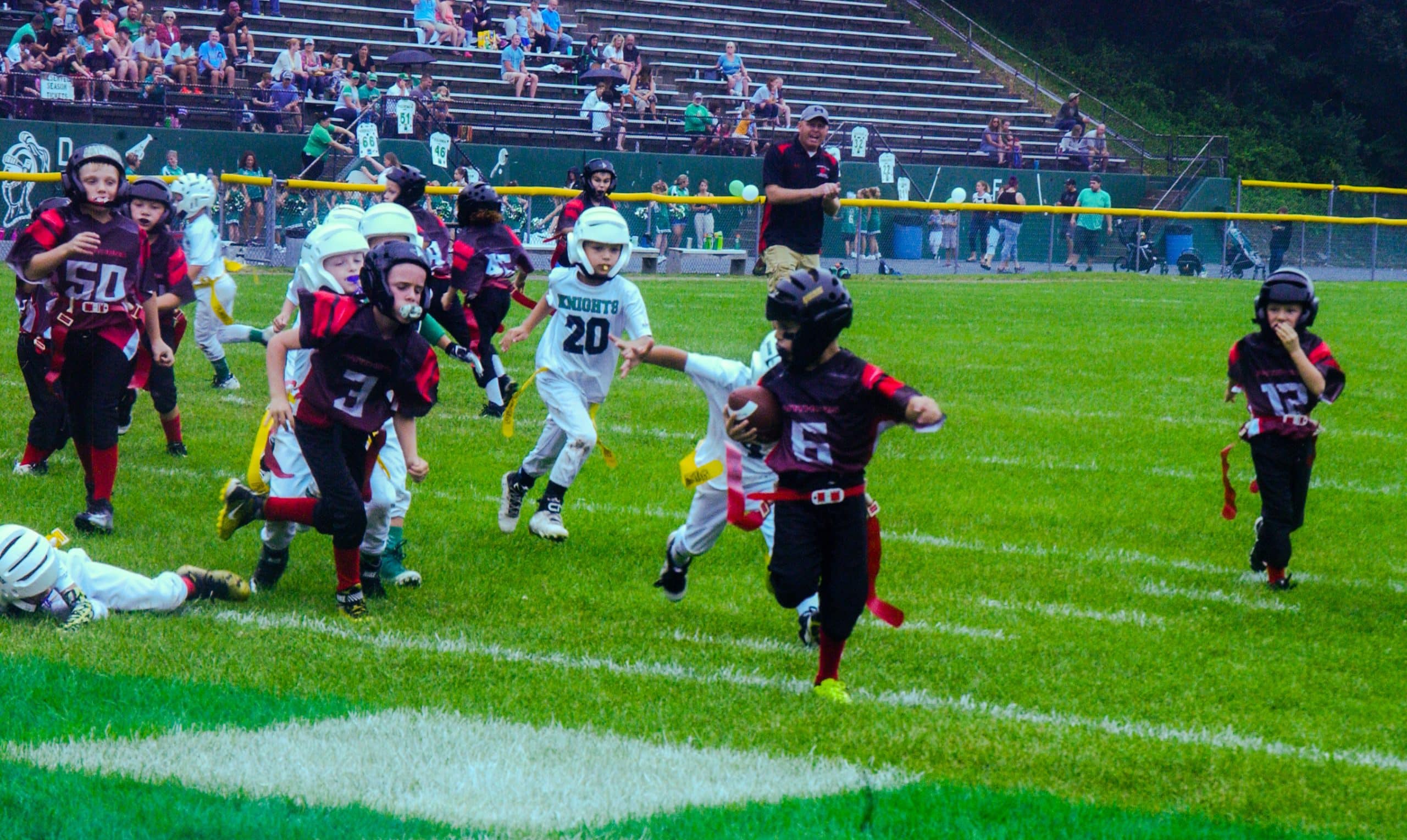 Little Panther Rundown