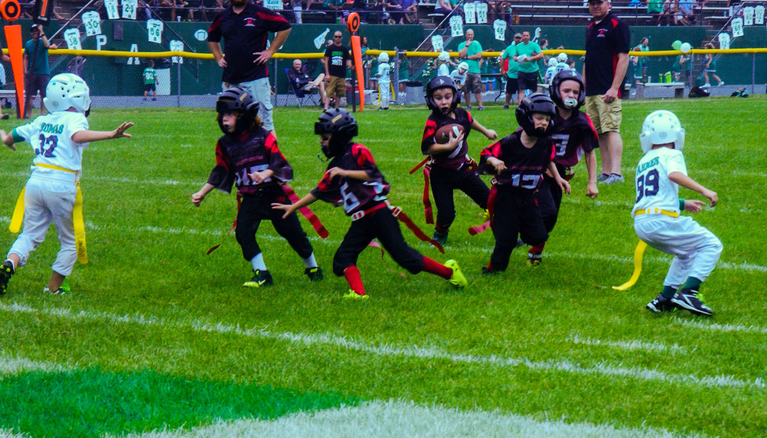 Little Panther Rundown