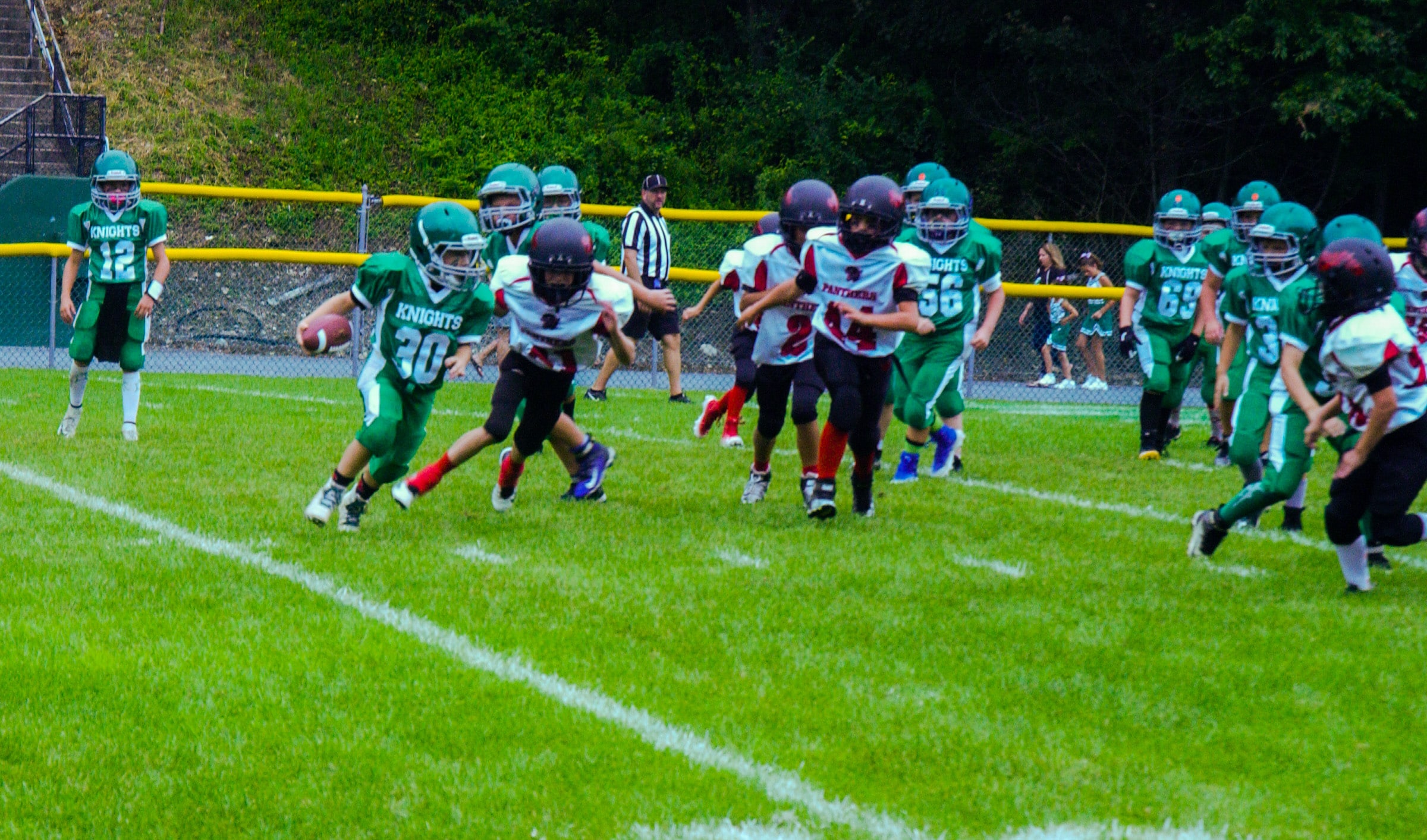 Little Panther Rundown