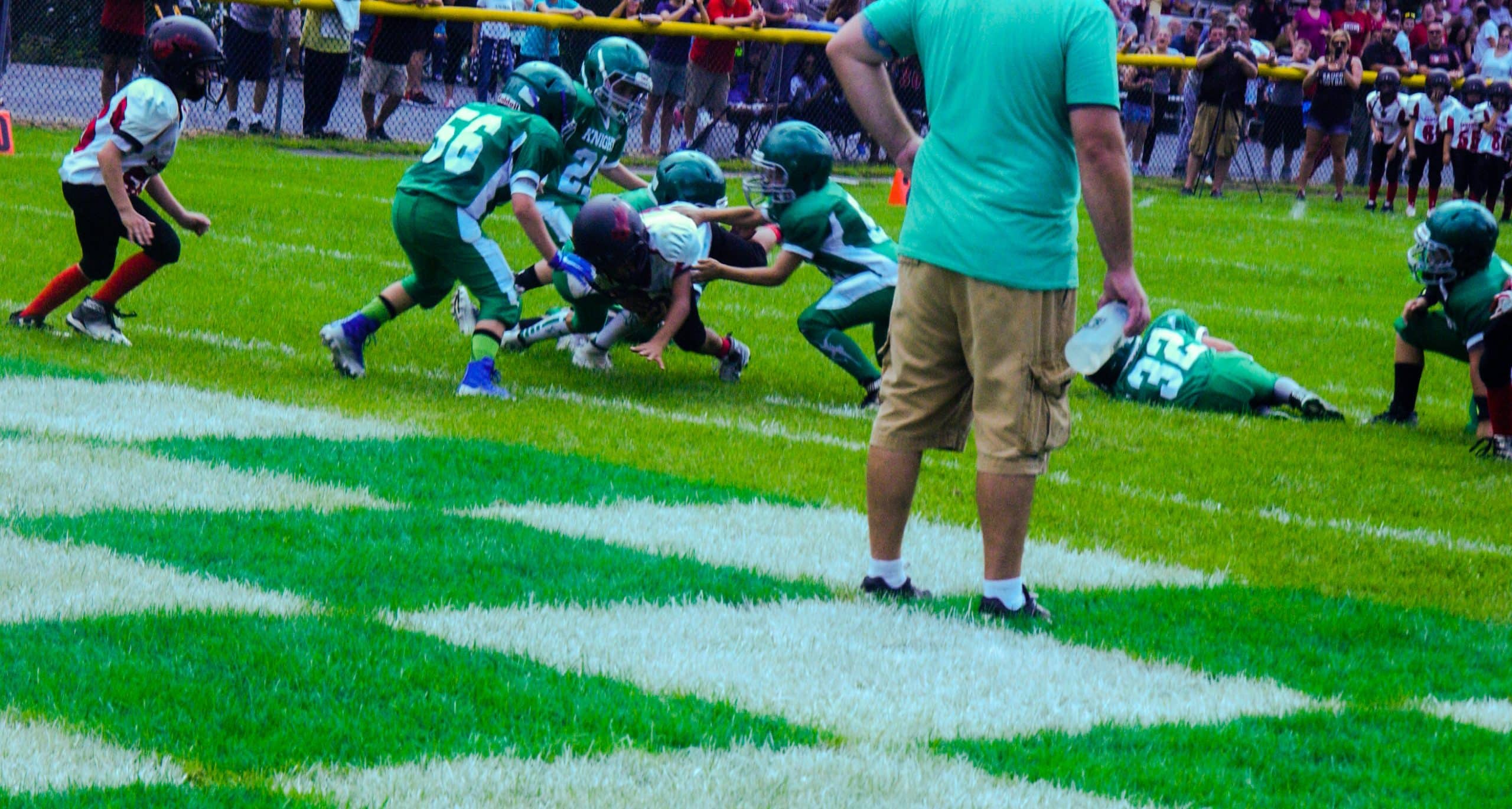 Little Panther Rundown