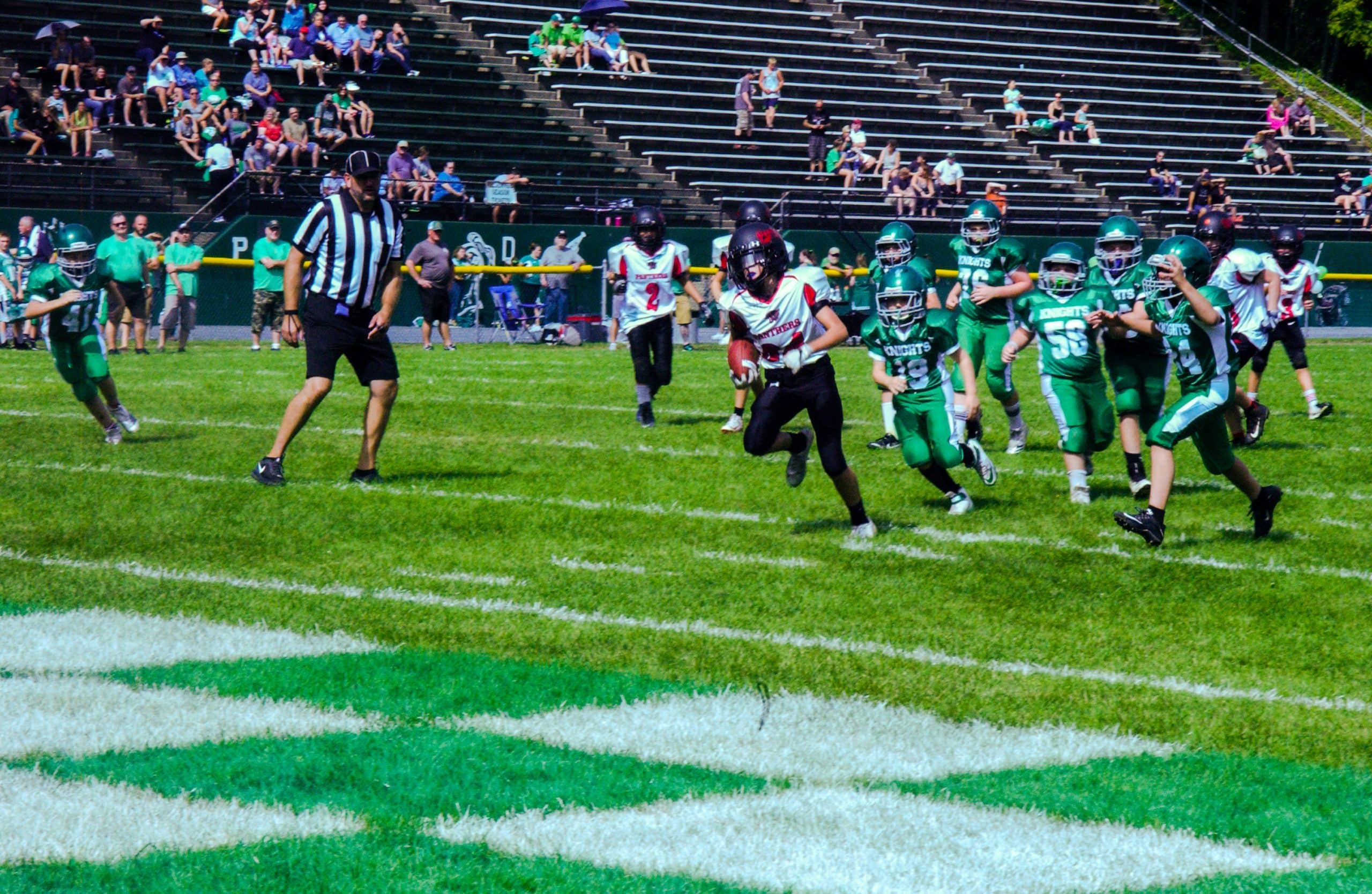 Little Panther Rundown