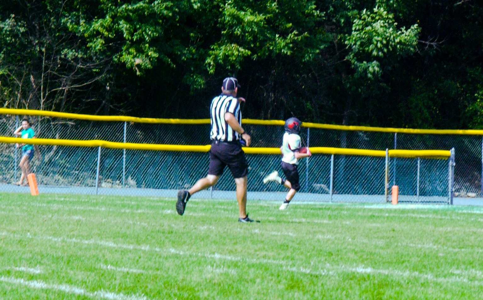 Little Panther Rundown