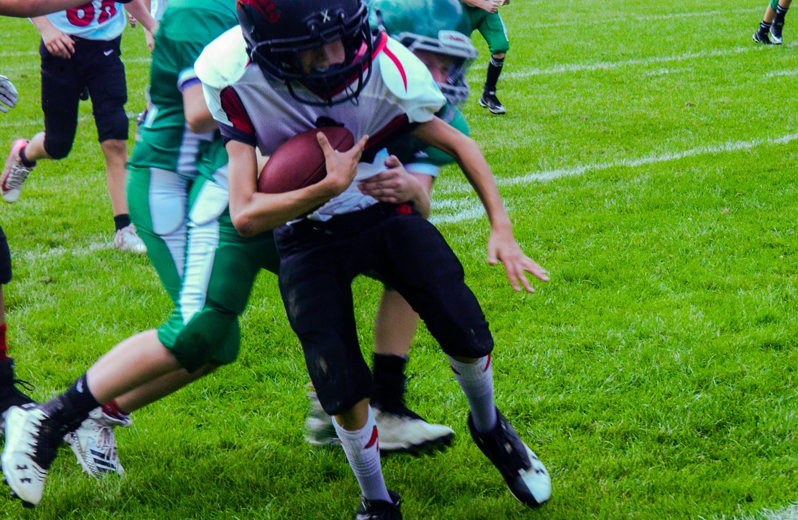 Little Panther Rundown