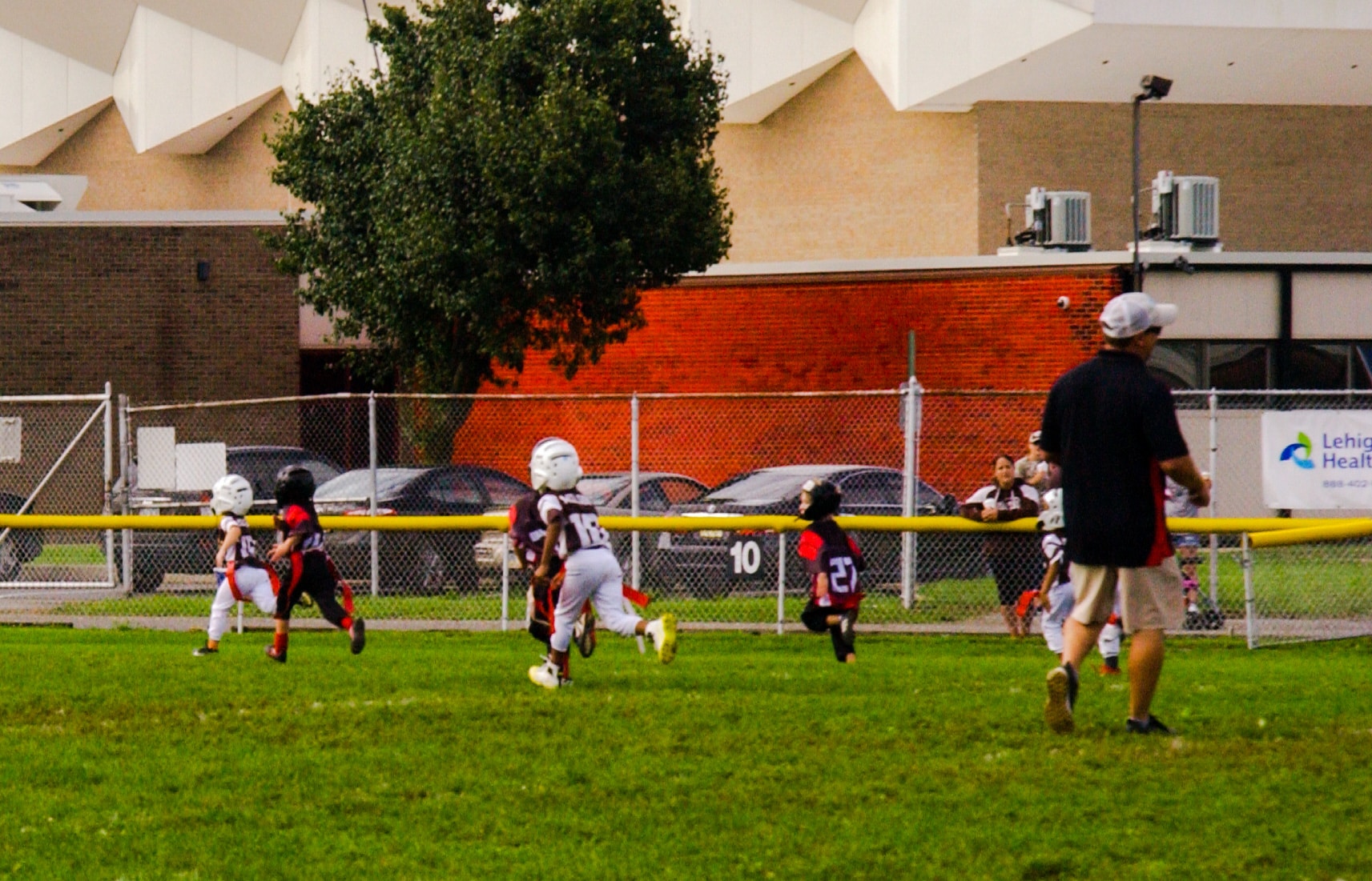 Little Panther Rundown