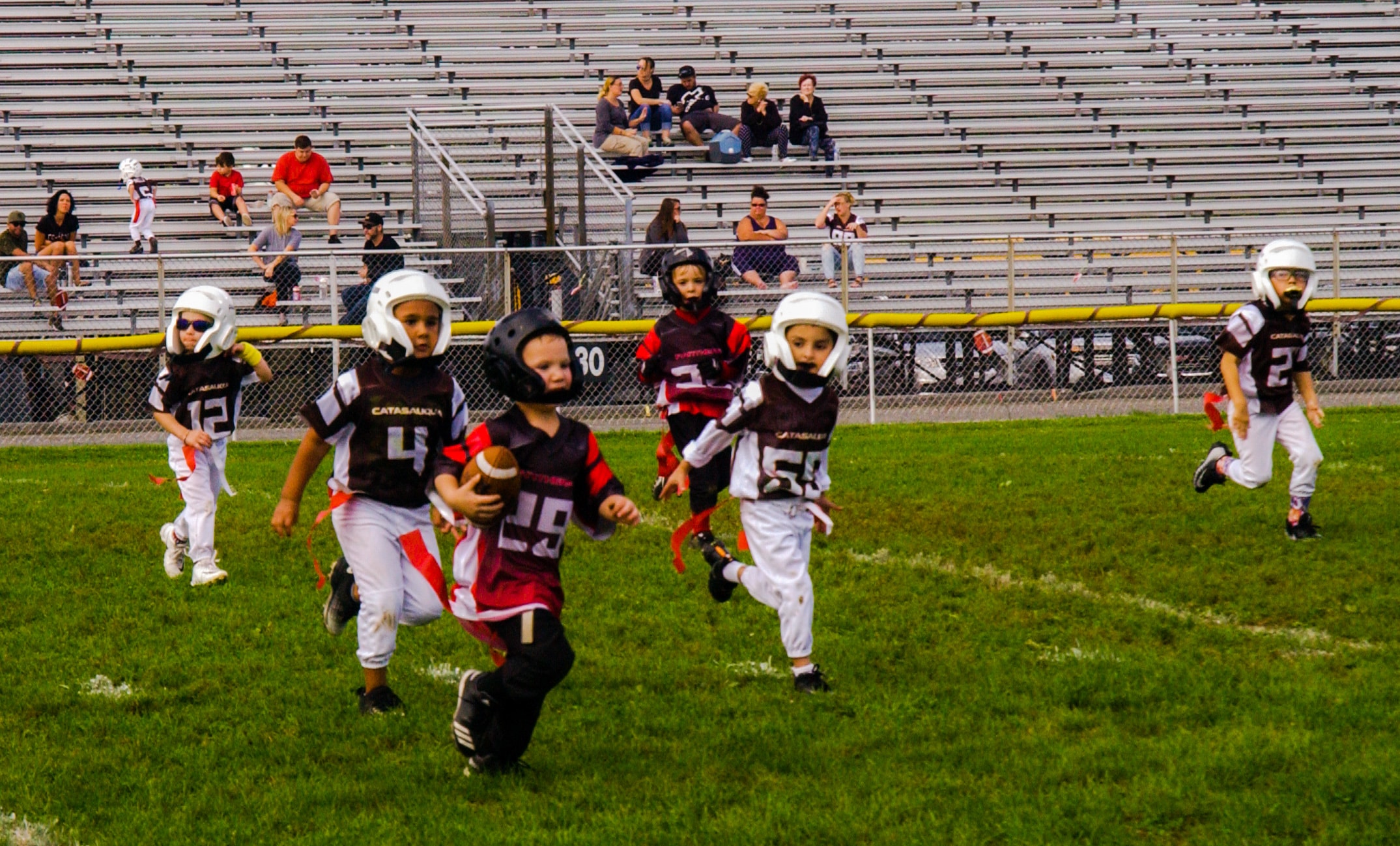 Little Panther Rundown