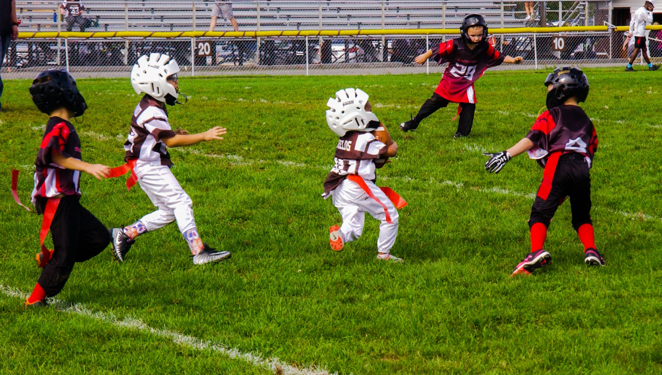 Little Panther Rundown