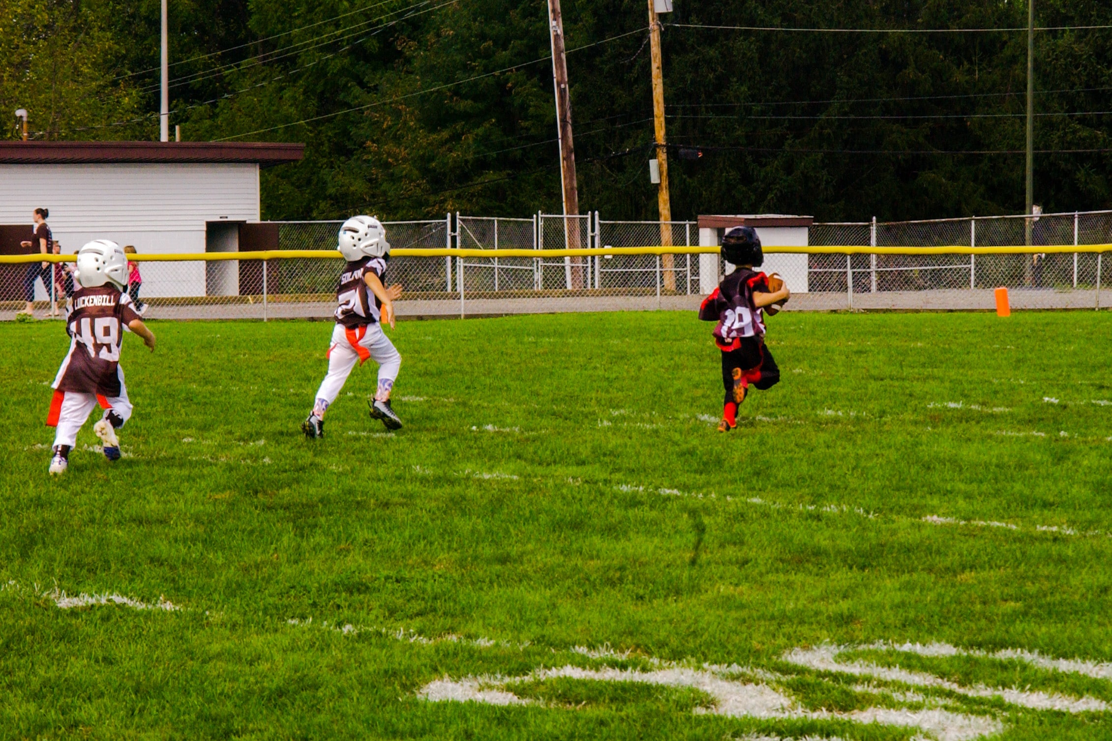 Little Panther Rundown