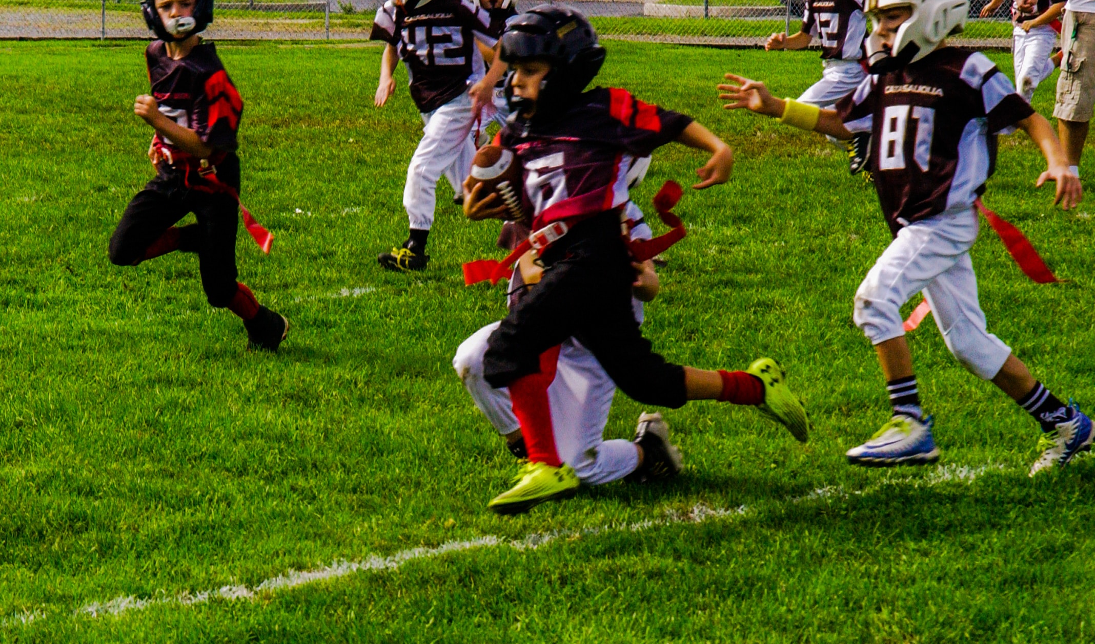 Little Panther Rundown