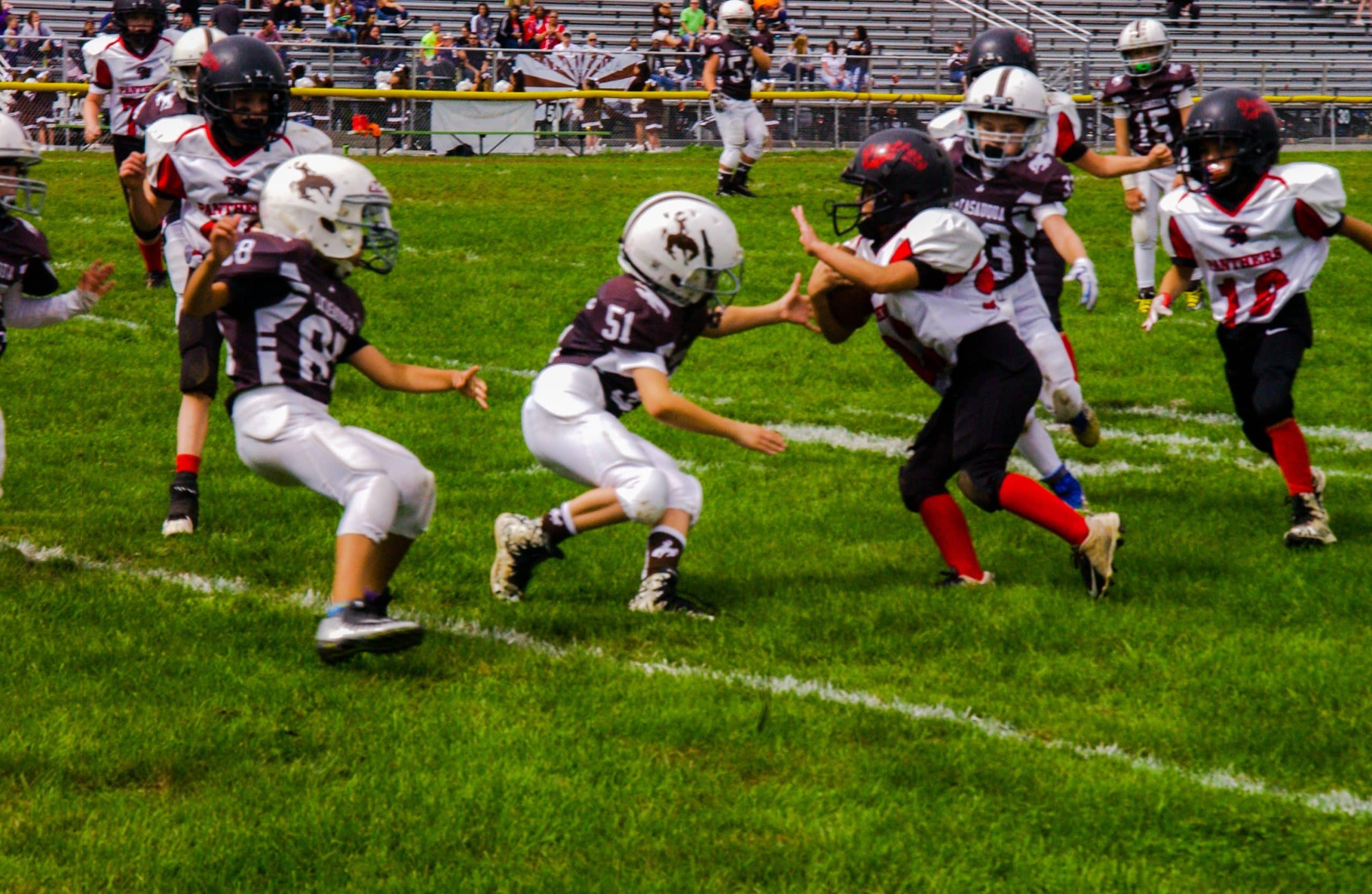 Little Panther Rundown