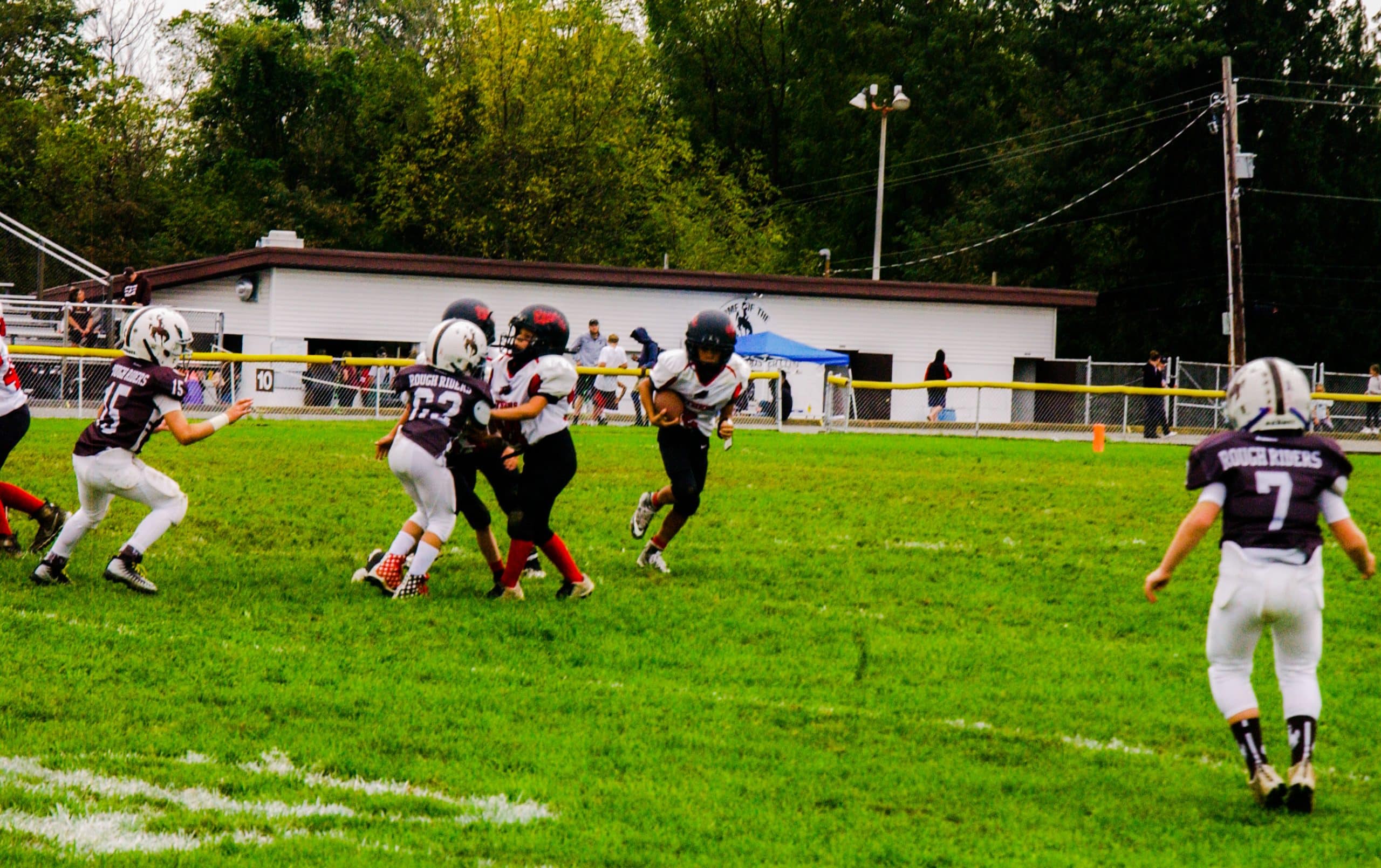 Little Panther Rundown