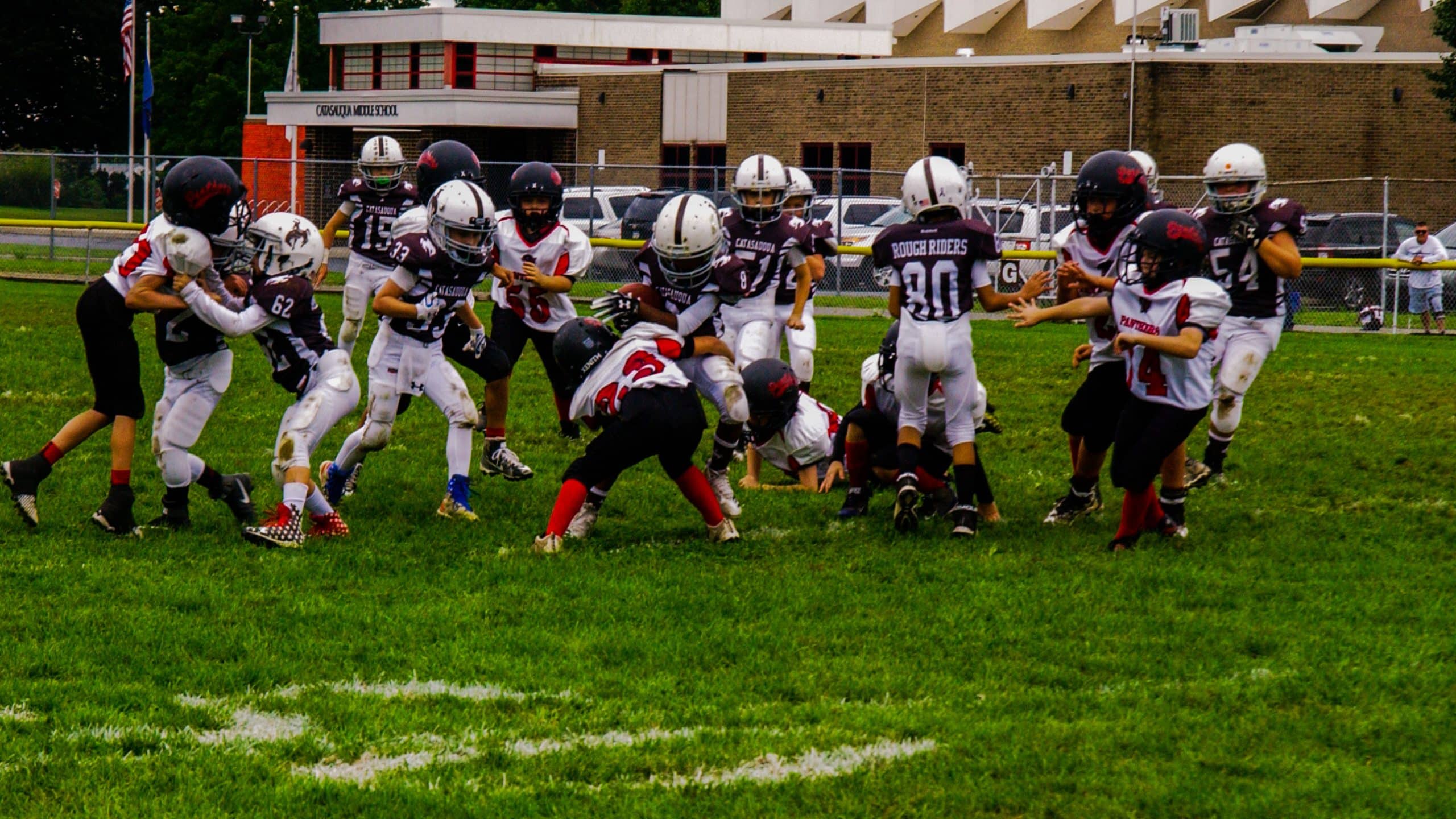 Little Panther Rundown