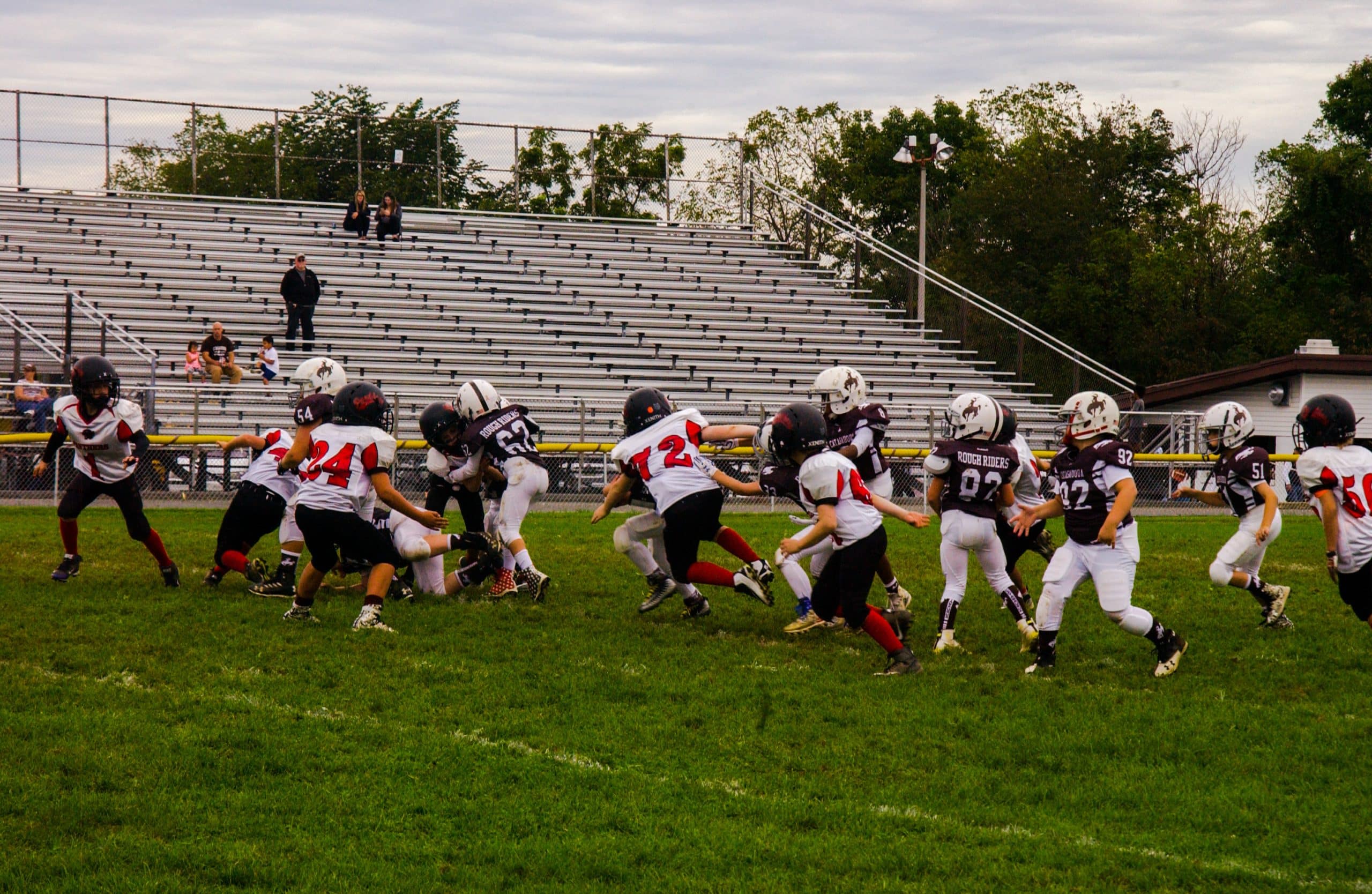 Little Panther Rundown