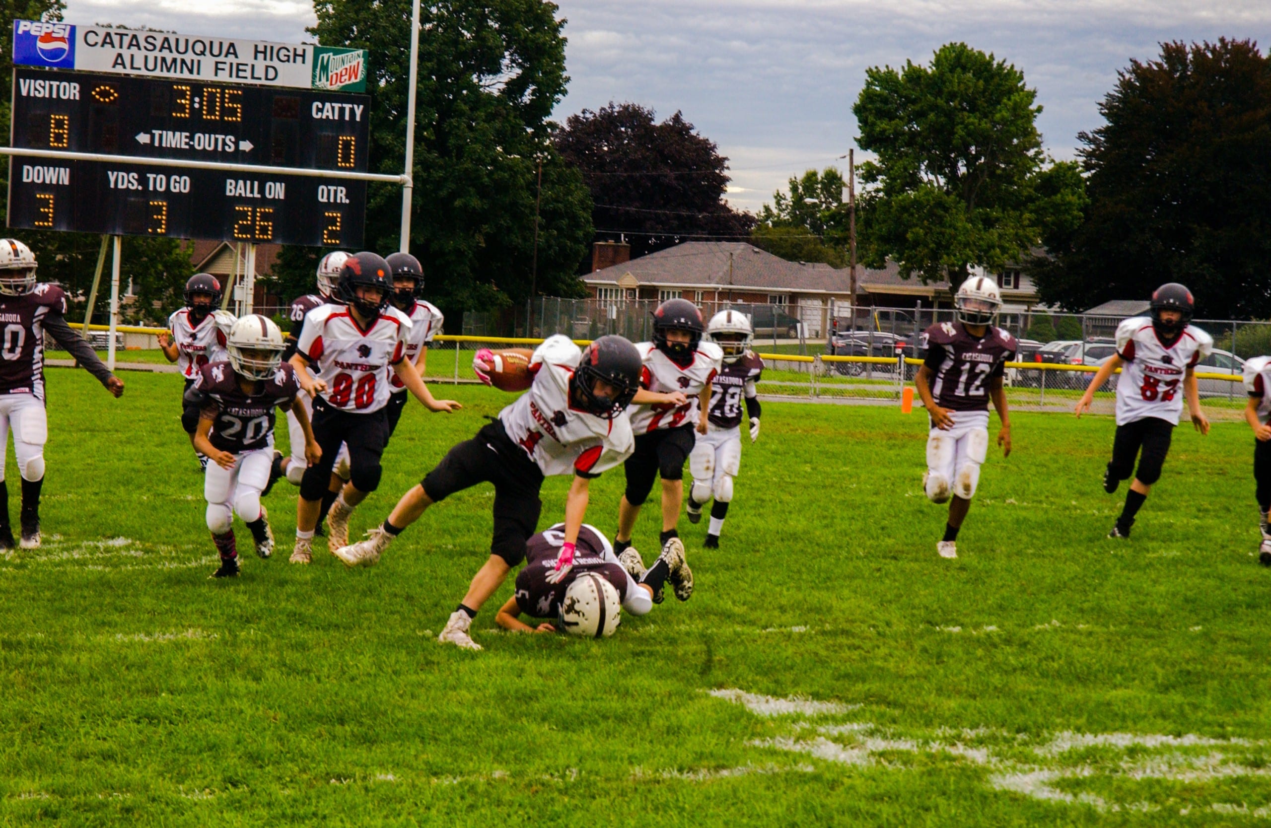 Little Panther Rundown