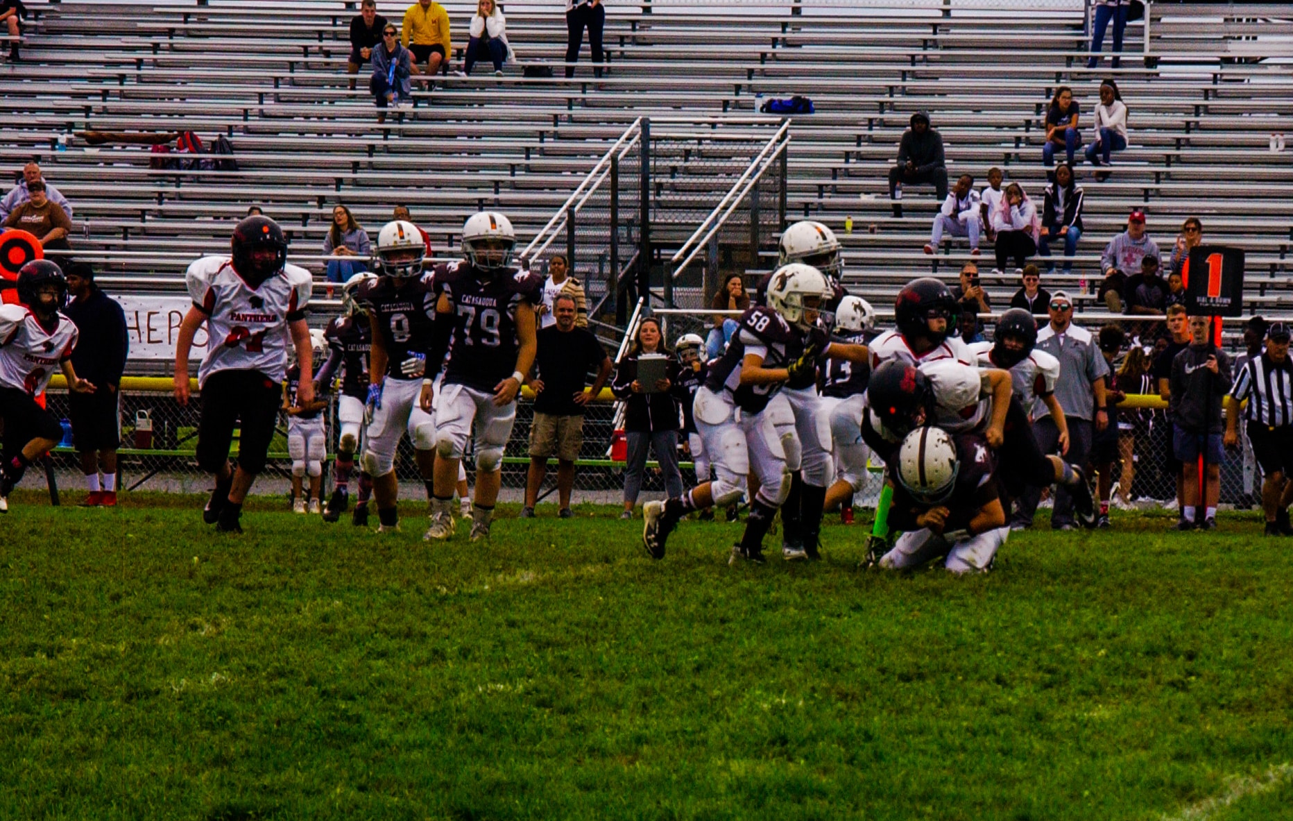 Little Panther Rundown